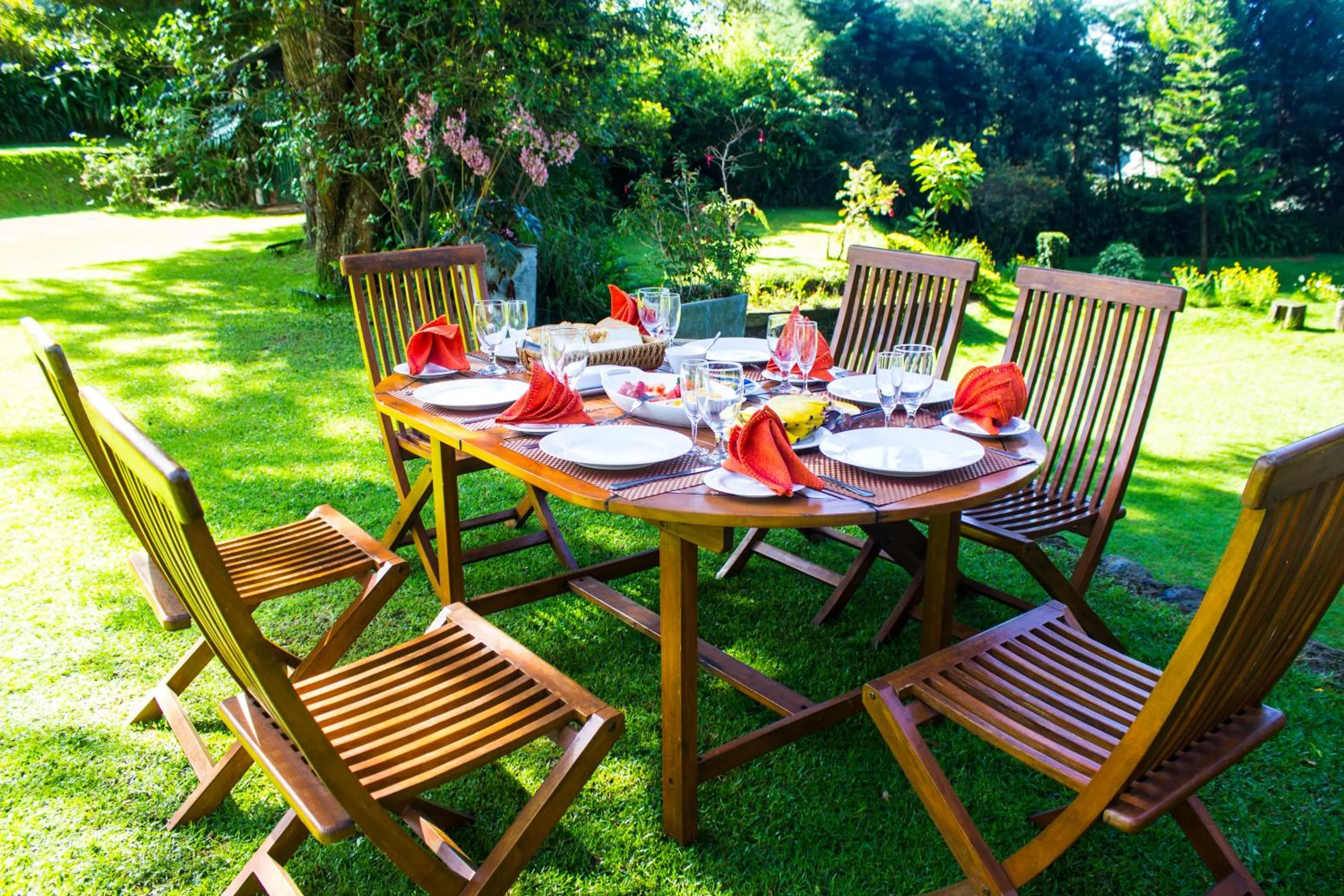 Garden in Brockenhurst Bungalow