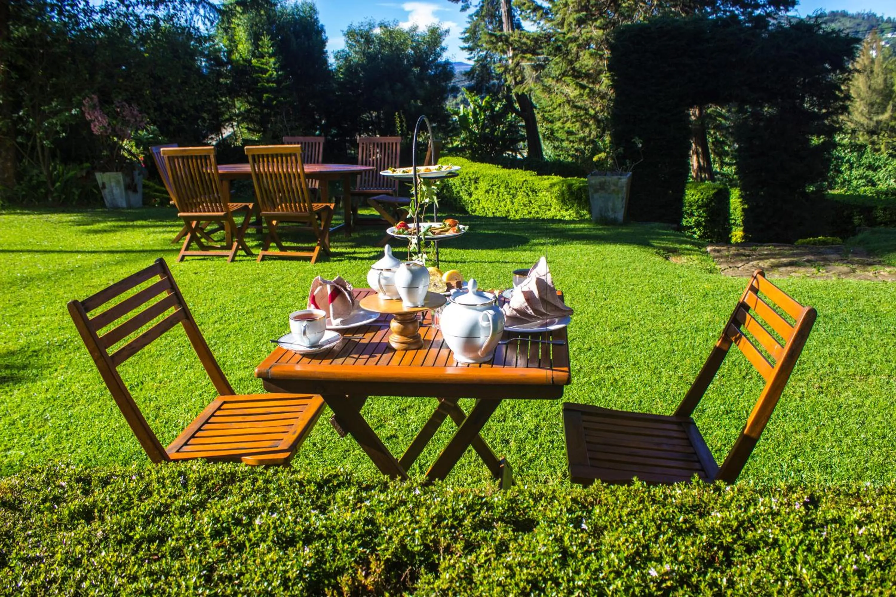 Garden in Brockenhurst Bungalow