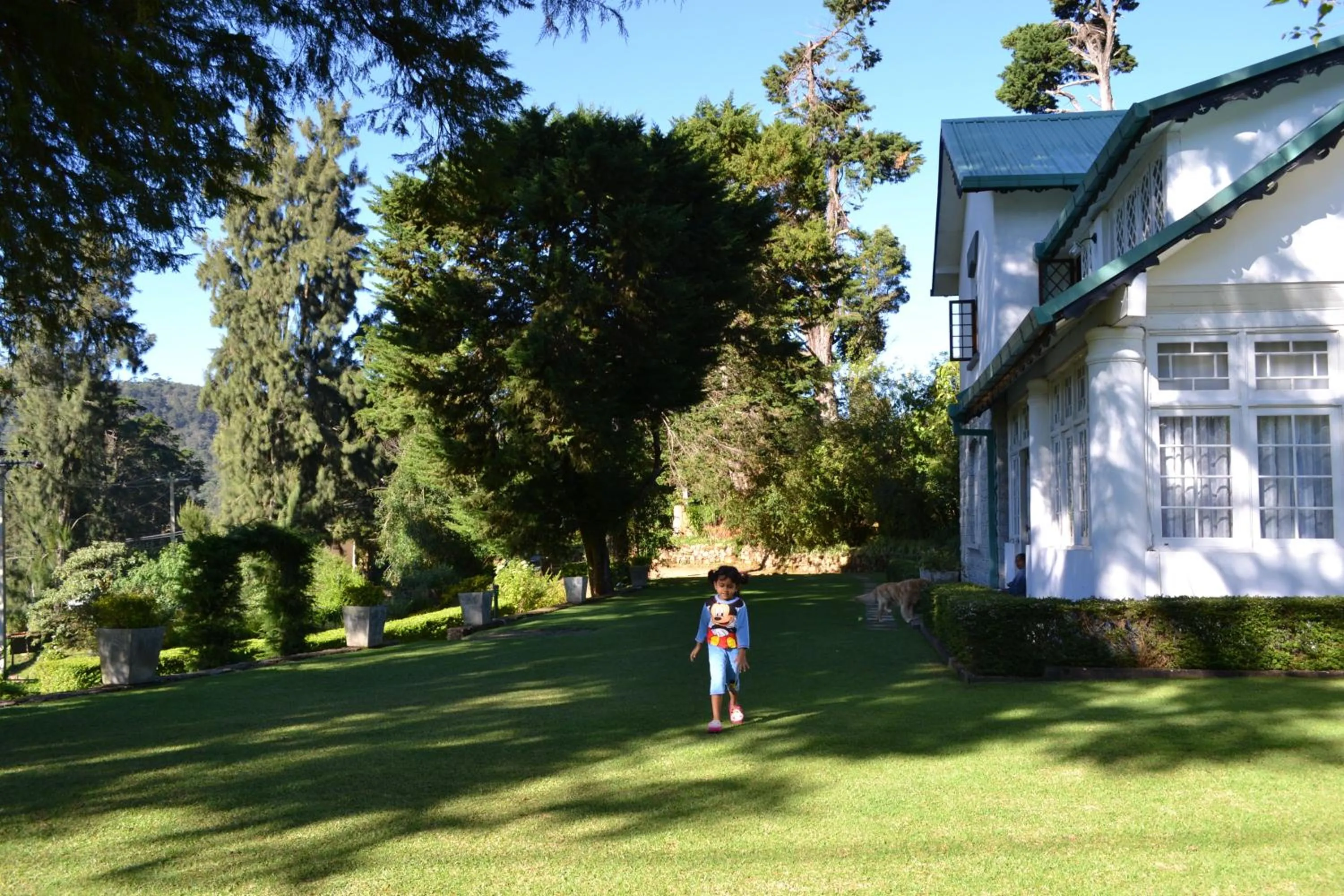 Garden in Brockenhurst Bungalow