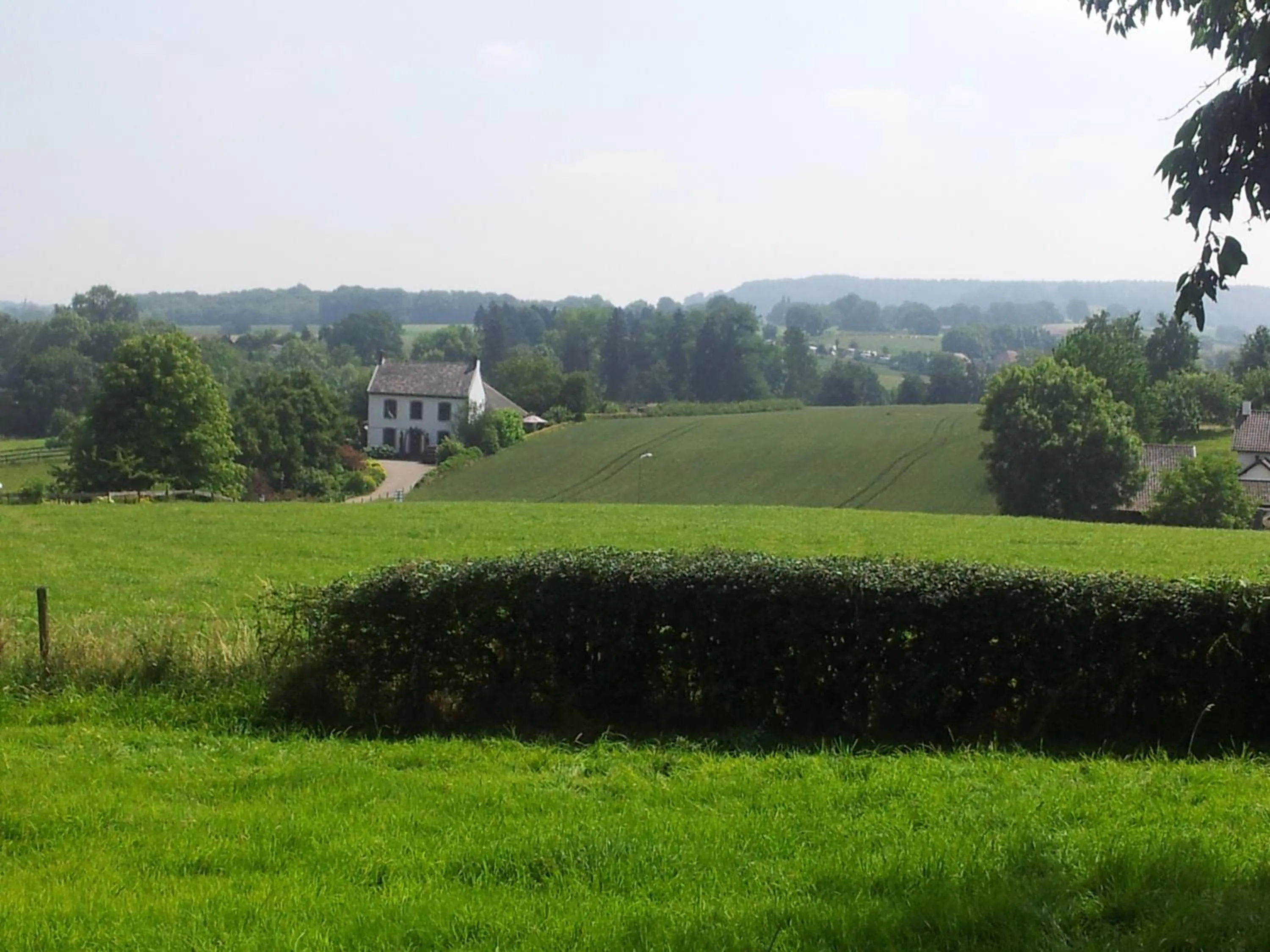 Area and facilities in Hotel,Herberg & Appartementen de Smidse