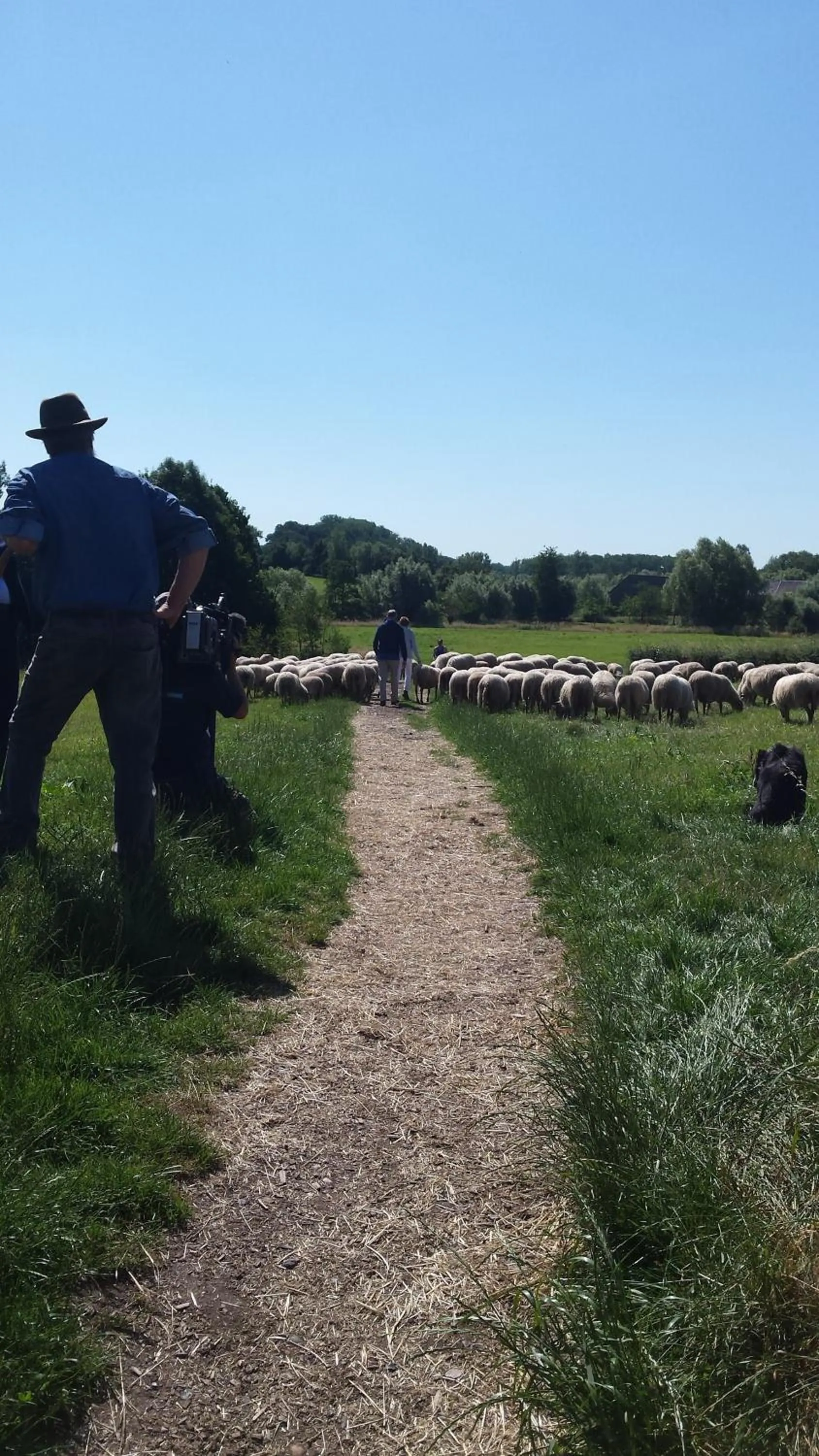 Hotel,Herberg & Appartementen de Smidse