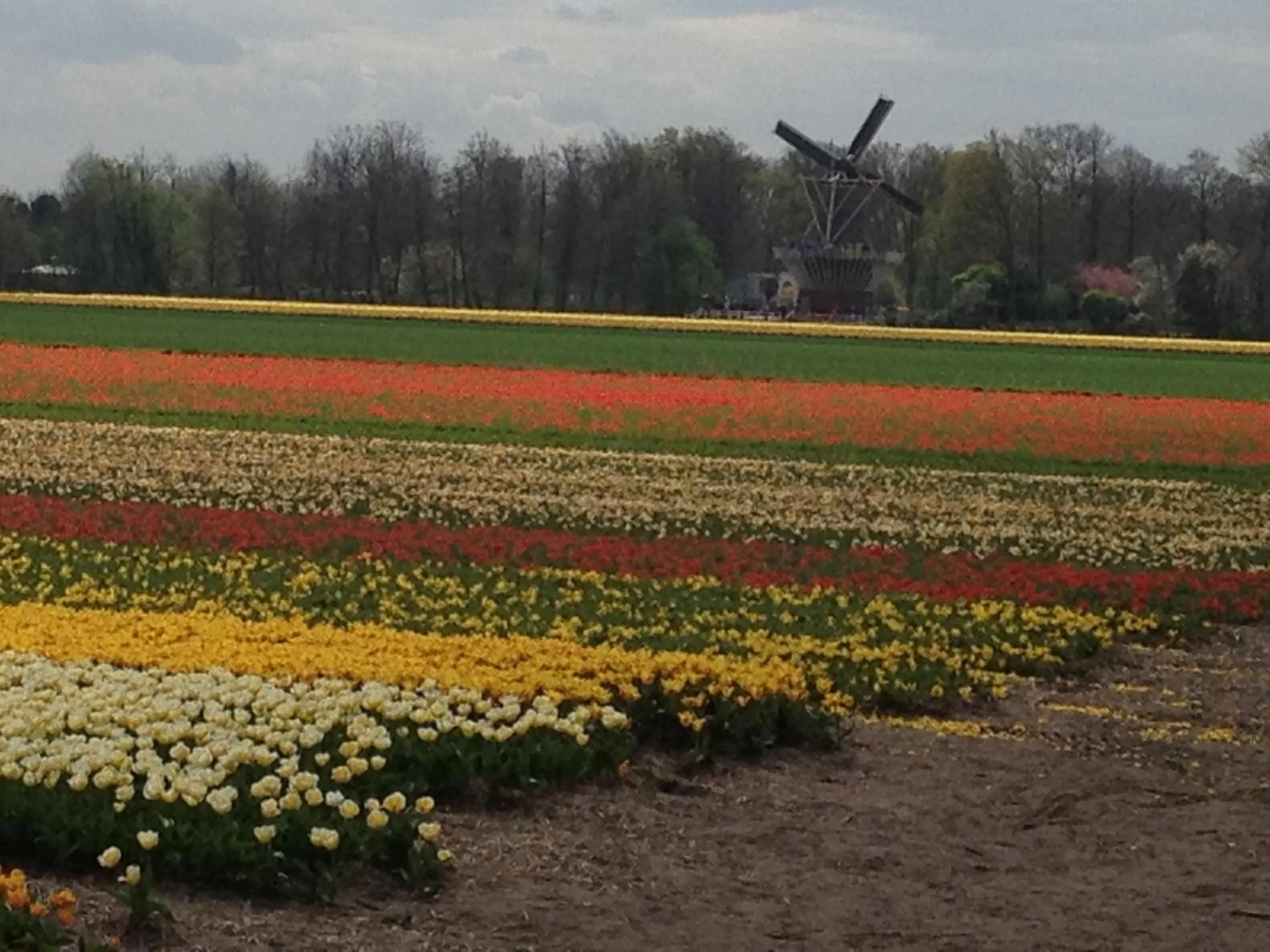 Area and facilities in Bed & Breakfast De Vier Seizoenen