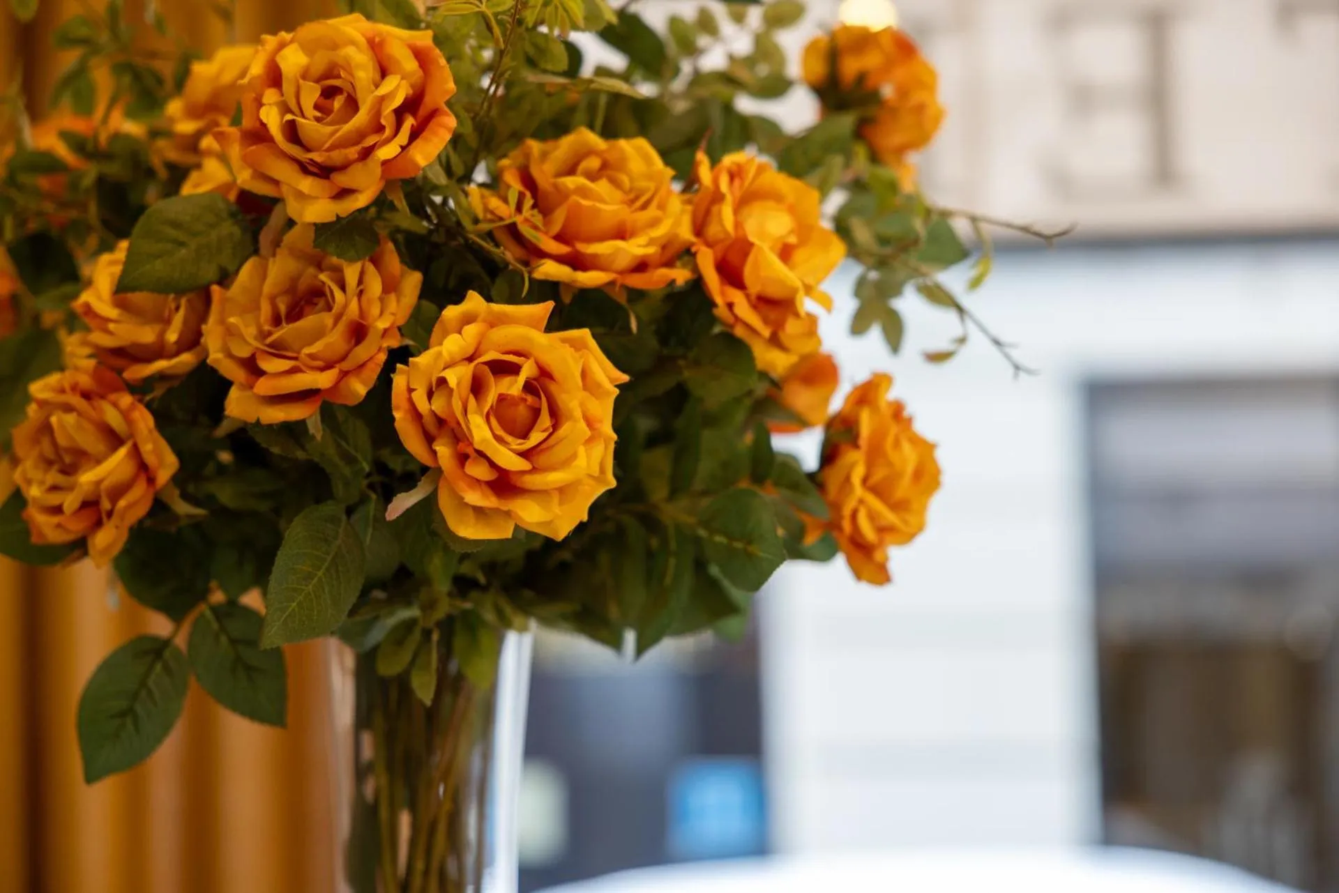 Hotel Avenida Gran Vía