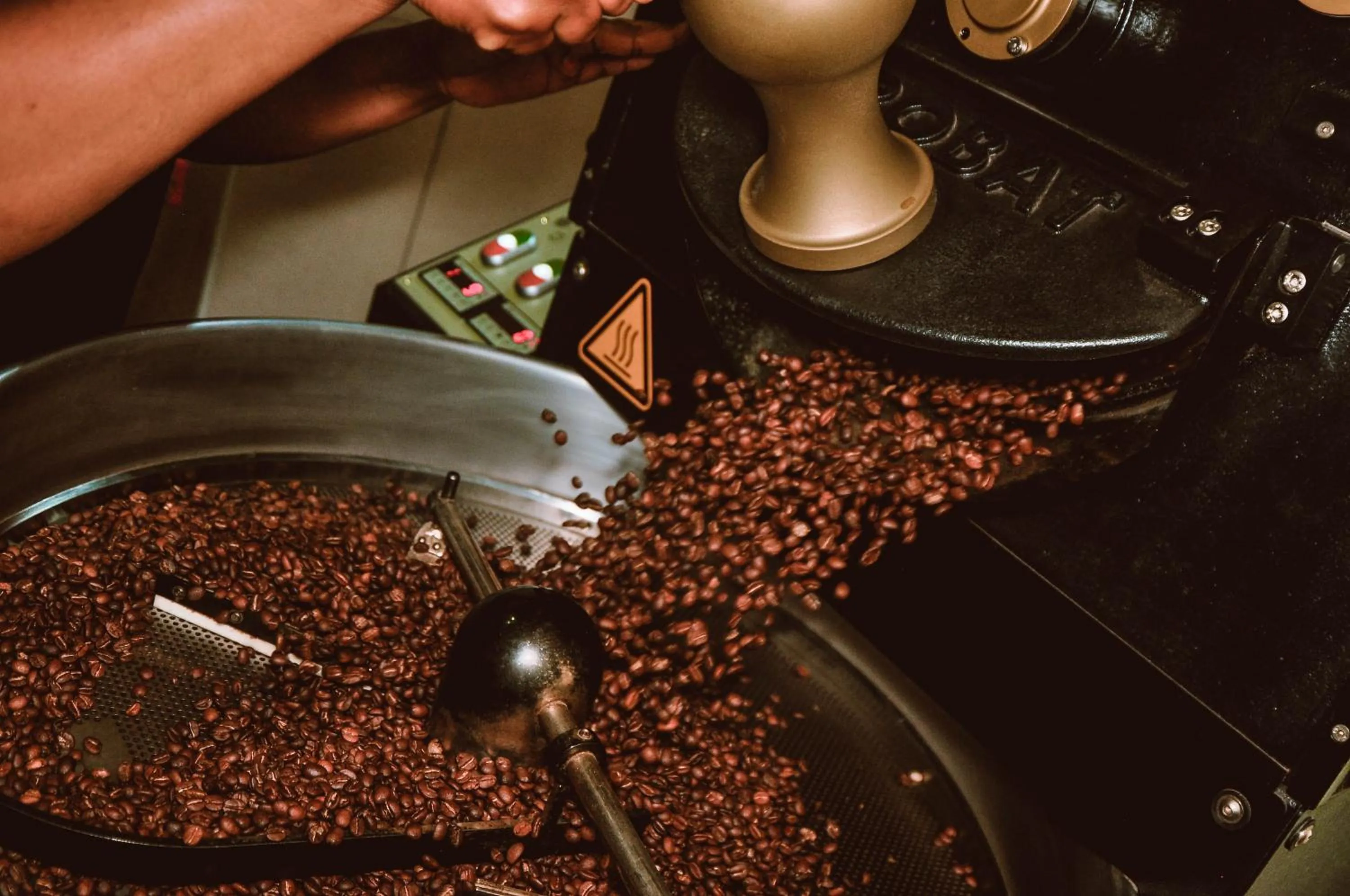 Activities in Zanzibar Coffee House