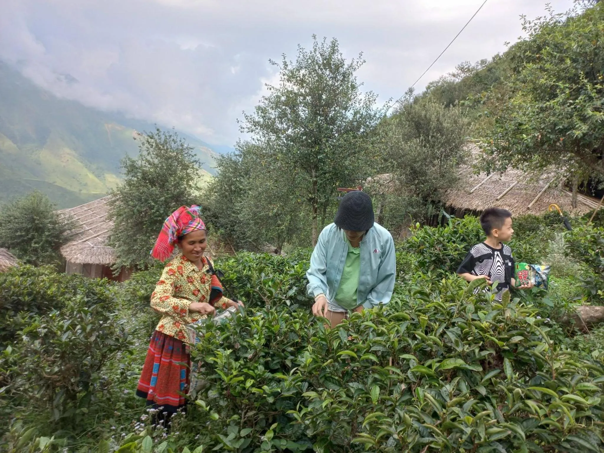 Activities in Ta Xua Ecolodge