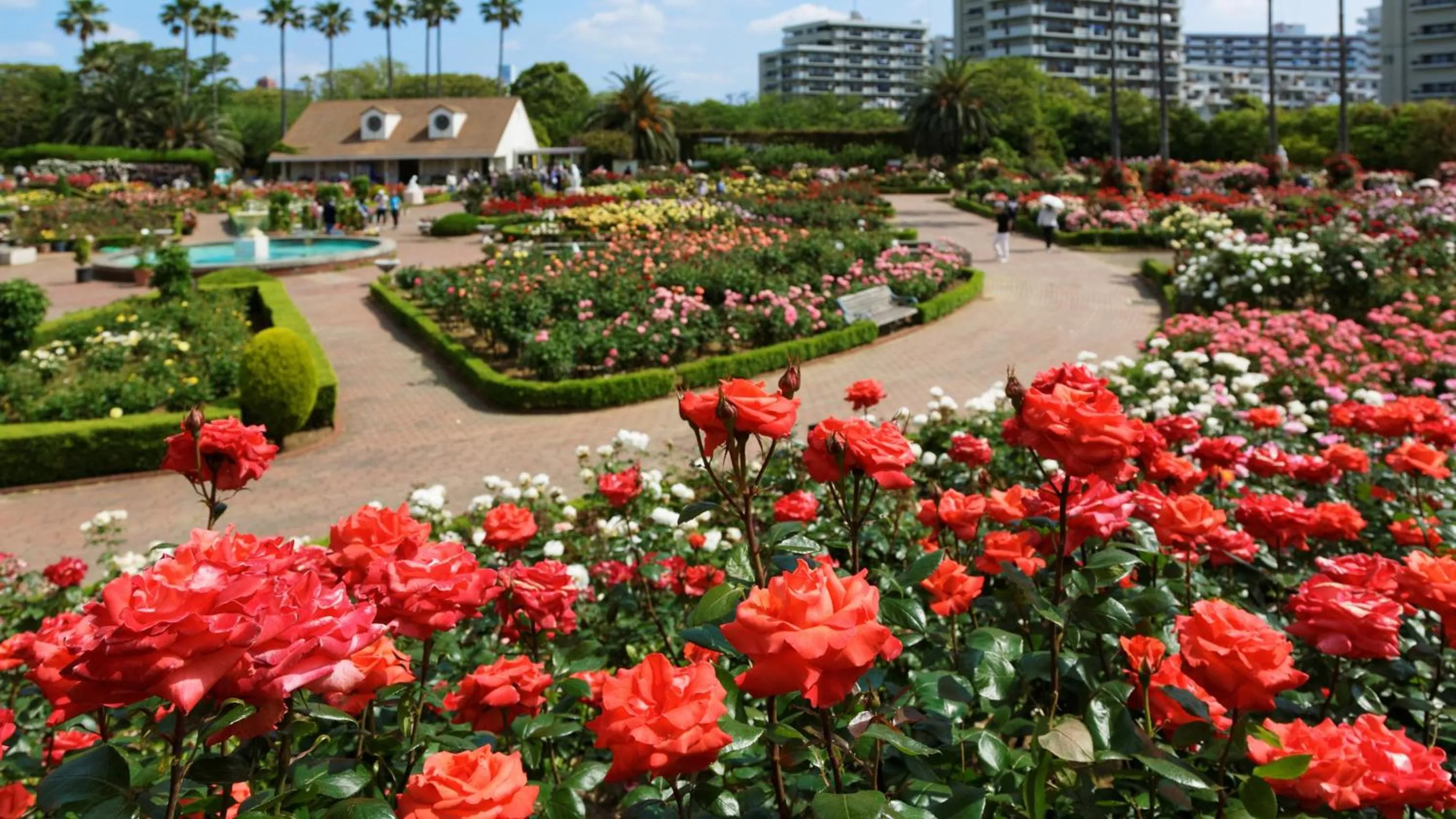 Nearby landmark in JR-East Hotel Mets Tsudanuma