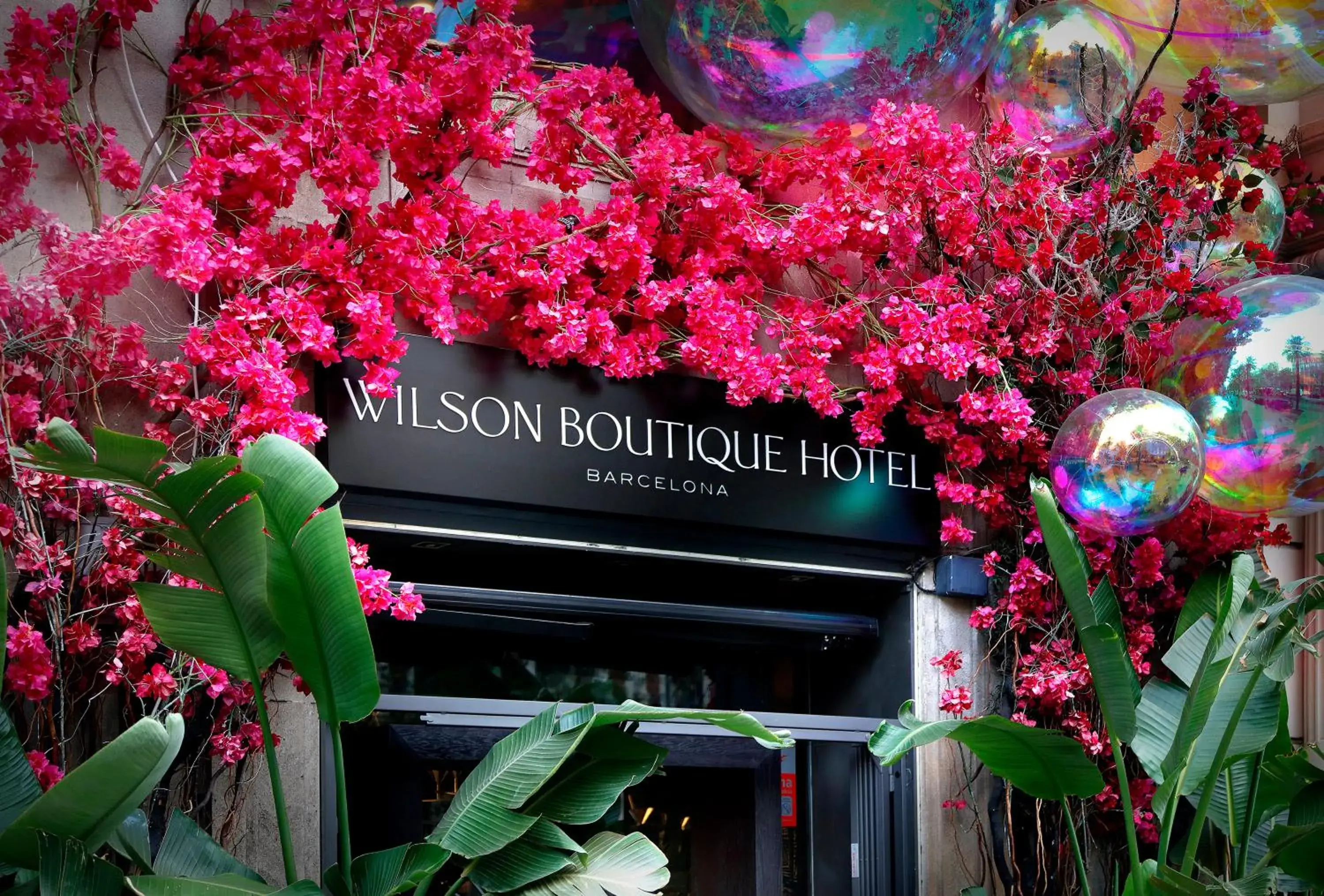 Wilson Boutique Hotel Wilson Boutique Hotel