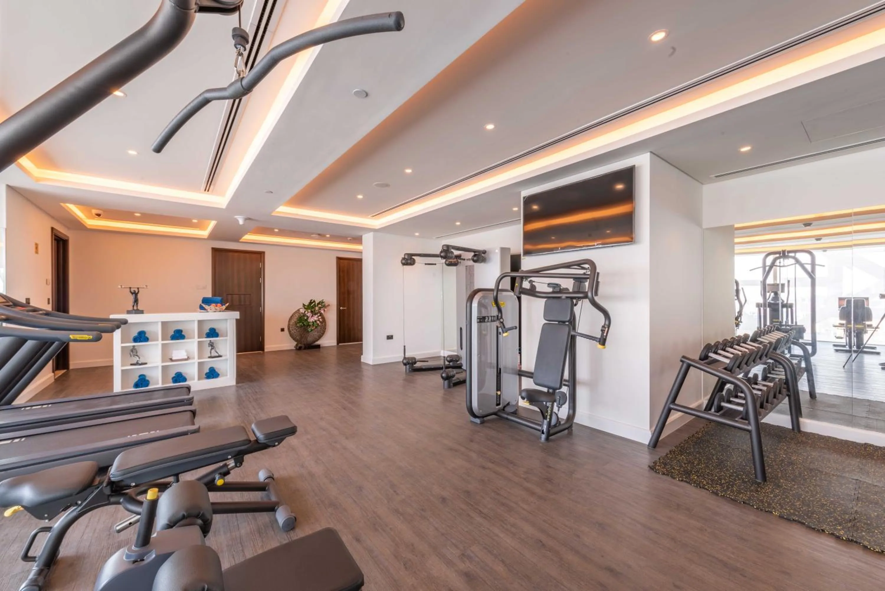 Fitness centre/facilities in Shaza Doha