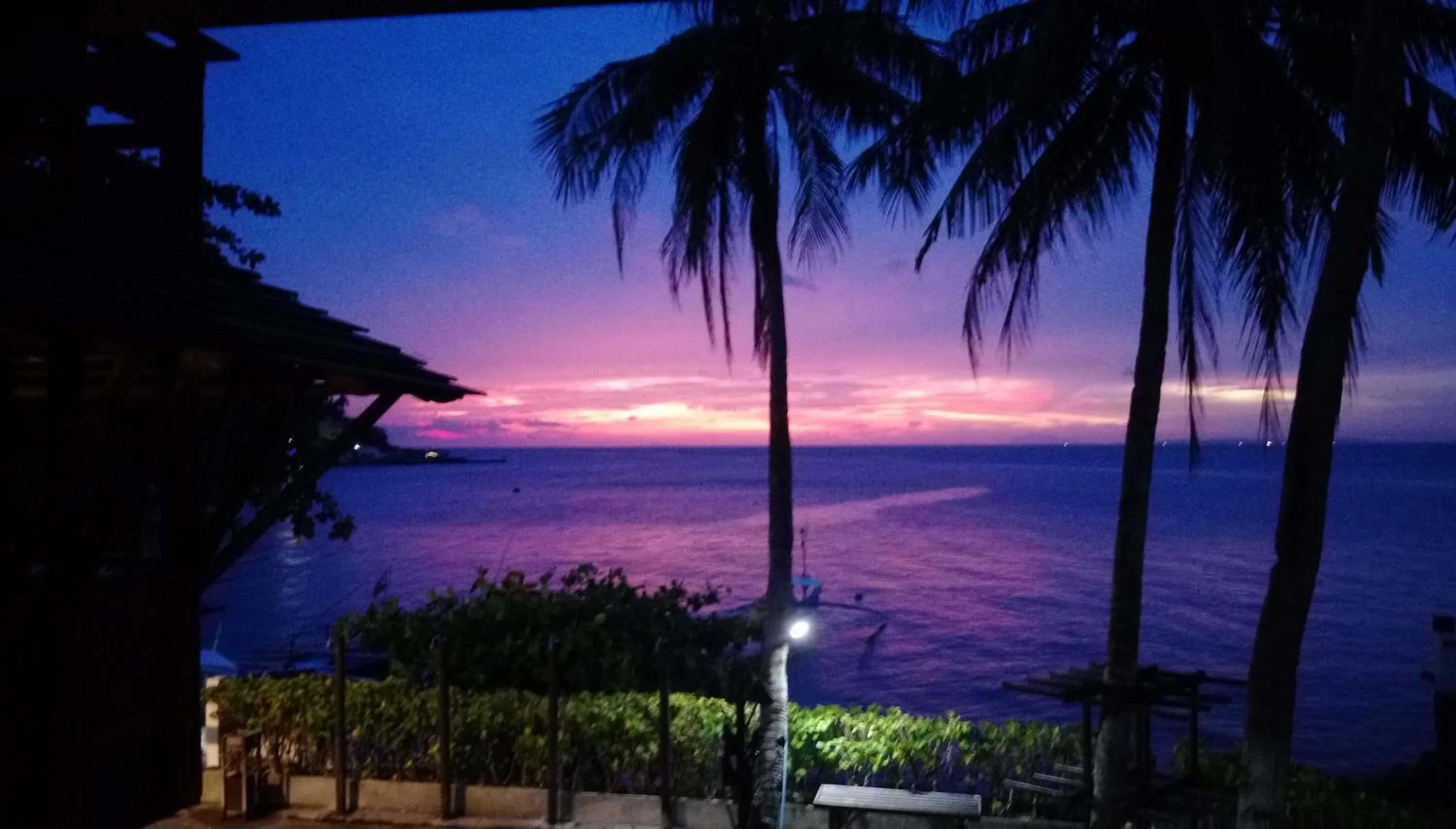 Natural landscape in Aquaventure Reef Club