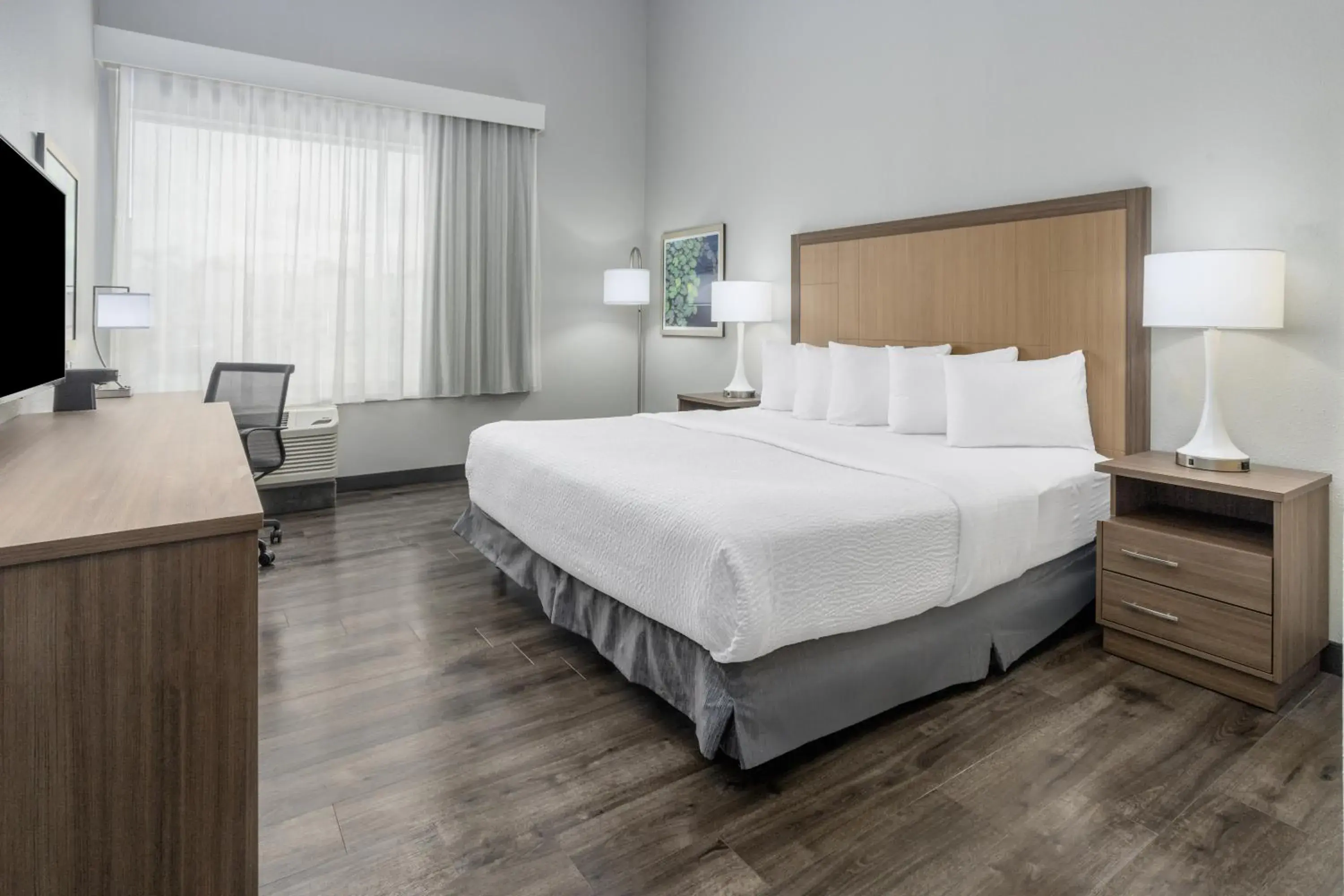 King Room - Non-Smoking in La Quinta Inn & Suites by Wyndham Valdosta King Room - Non-Smoking in La Quinta Inn & Suites by Wyndham Valdosta