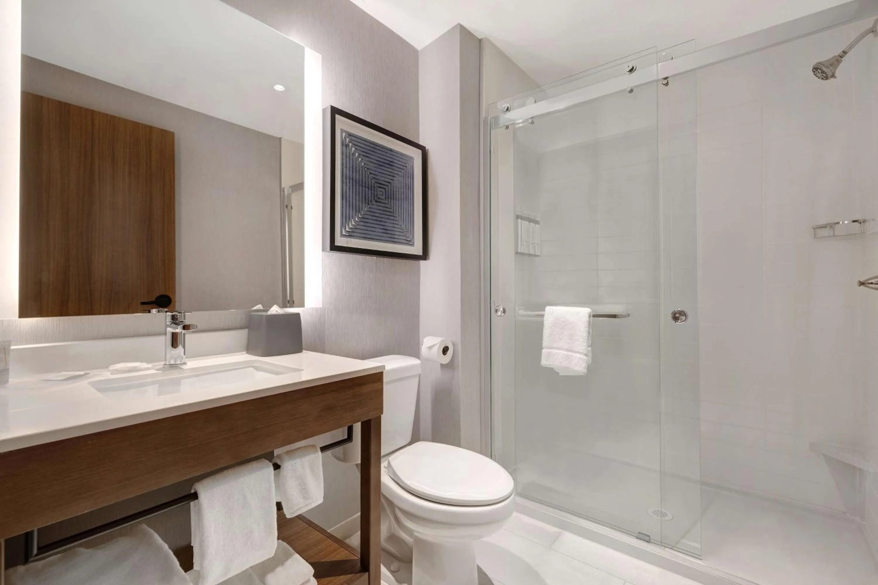 Bathroom in Hyatt Place Flagstaff