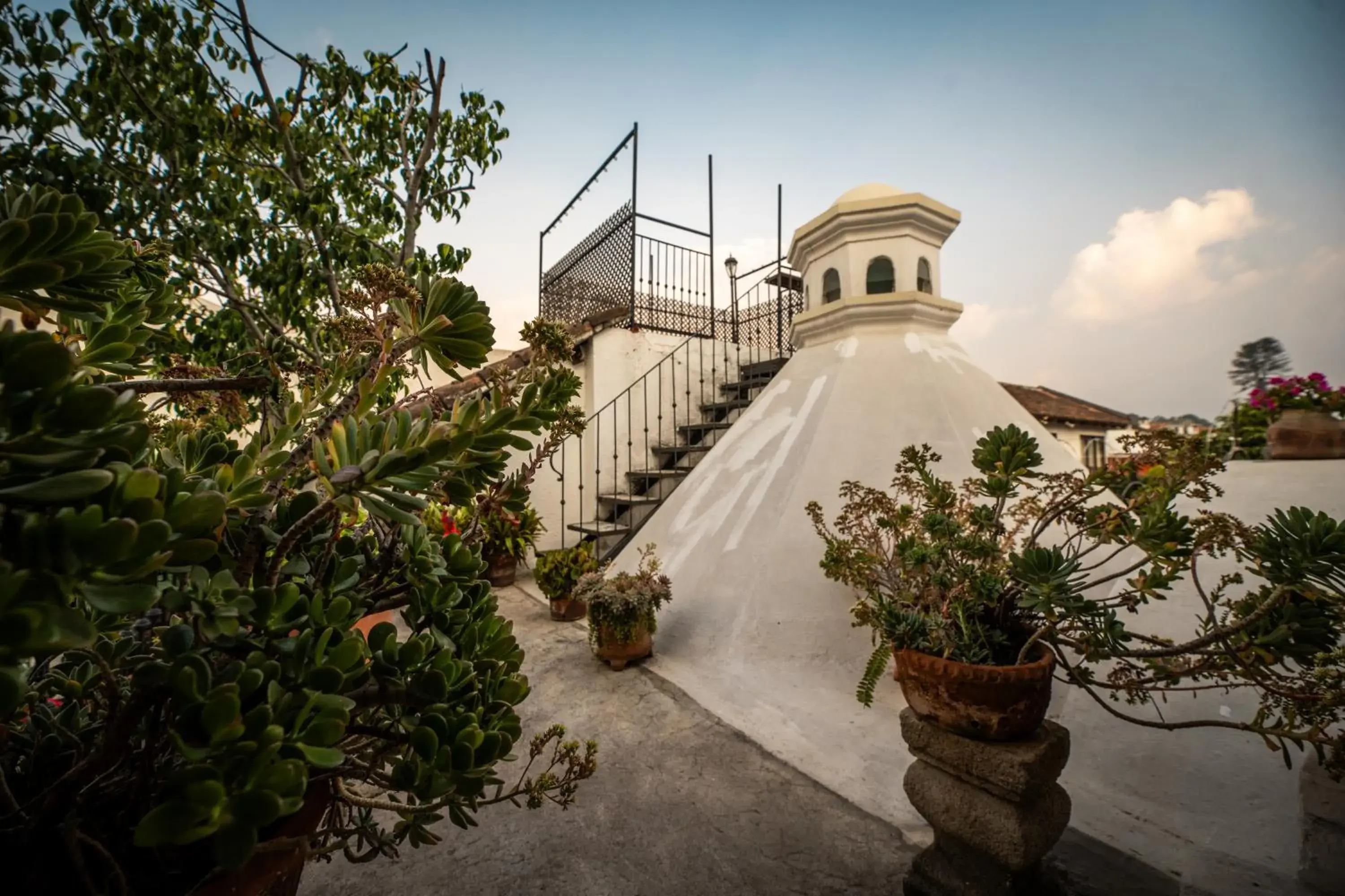 Garden view in Hotel La Villa Serena Garden view in Hotel La Villa Serena