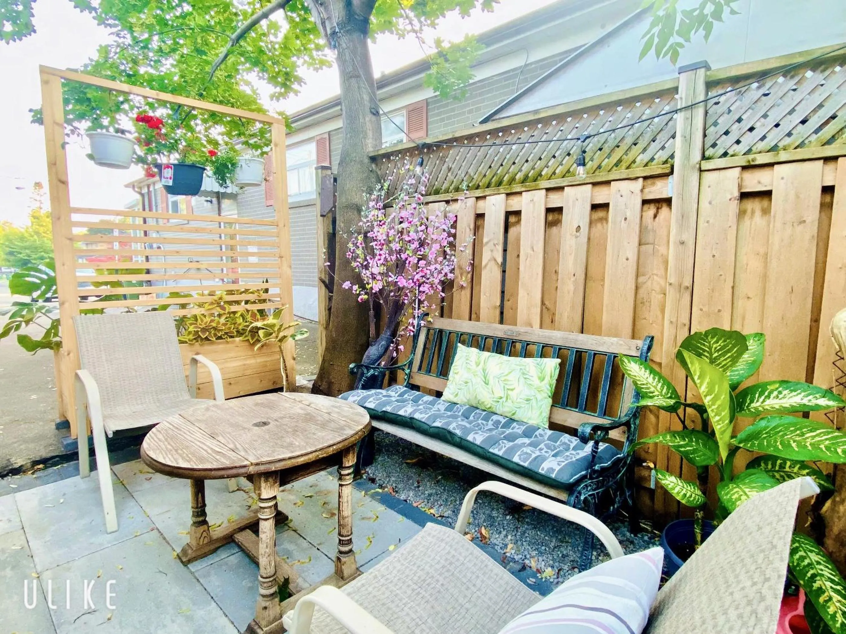 Toronto Bed & Breakfast - Free parking