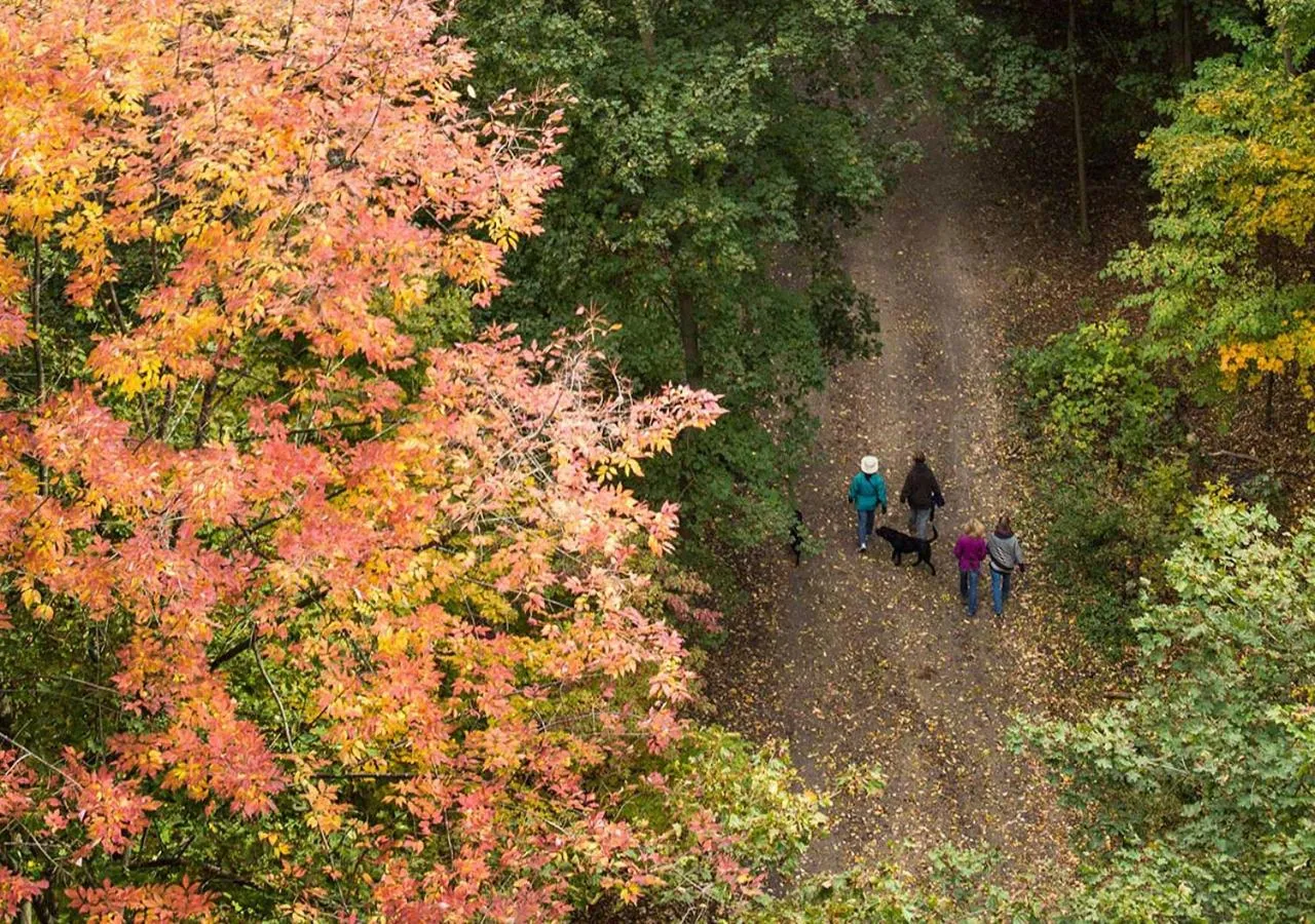Toronto Bed & Breakfast - Free parking