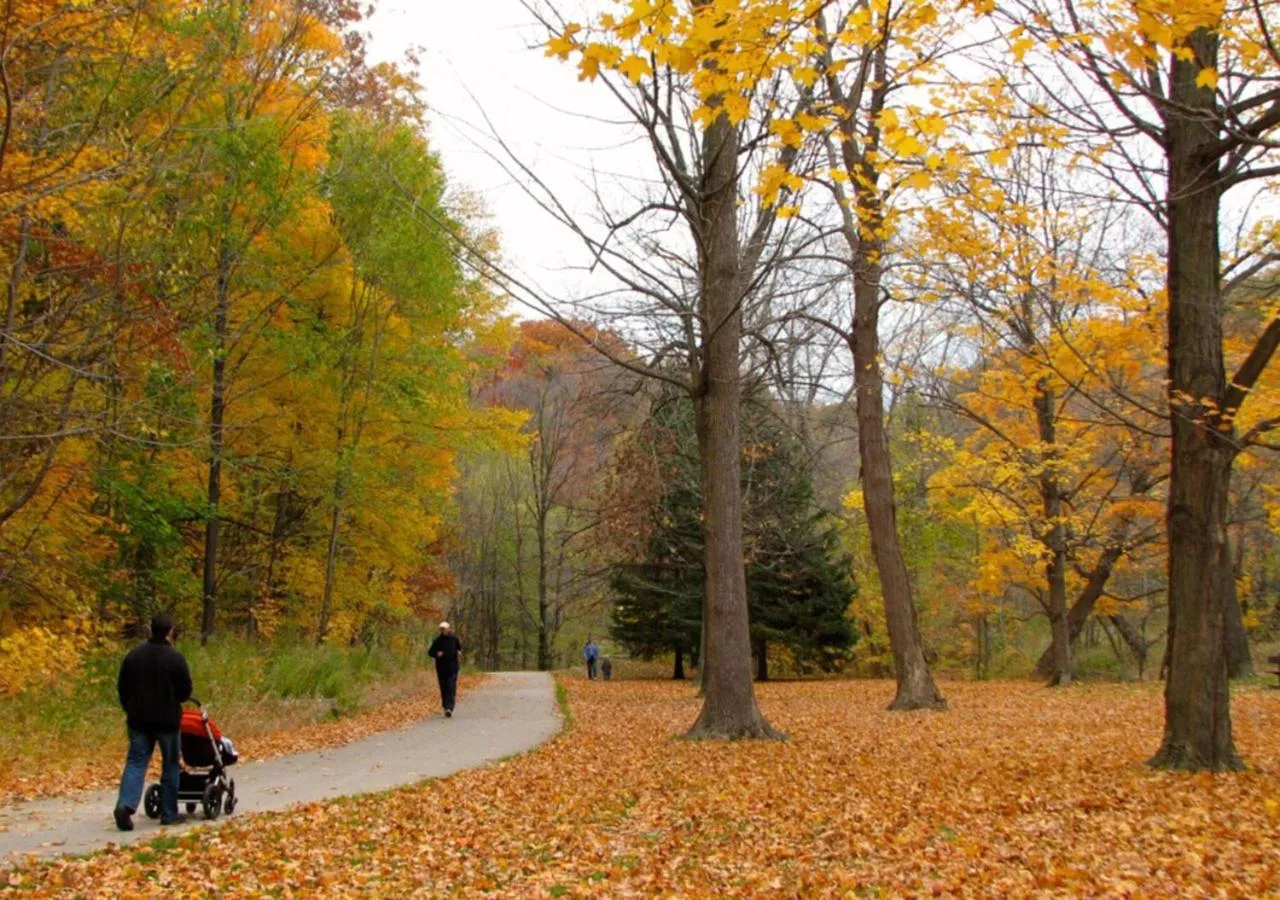 Toronto Bed & Breakfast - Free parking