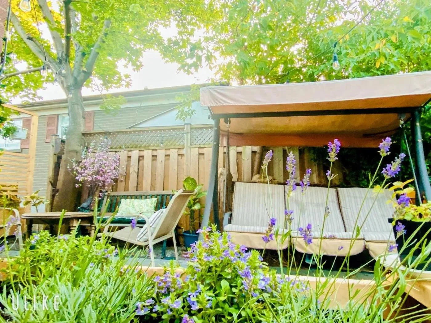 Toronto Bed & Breakfast - Free parking