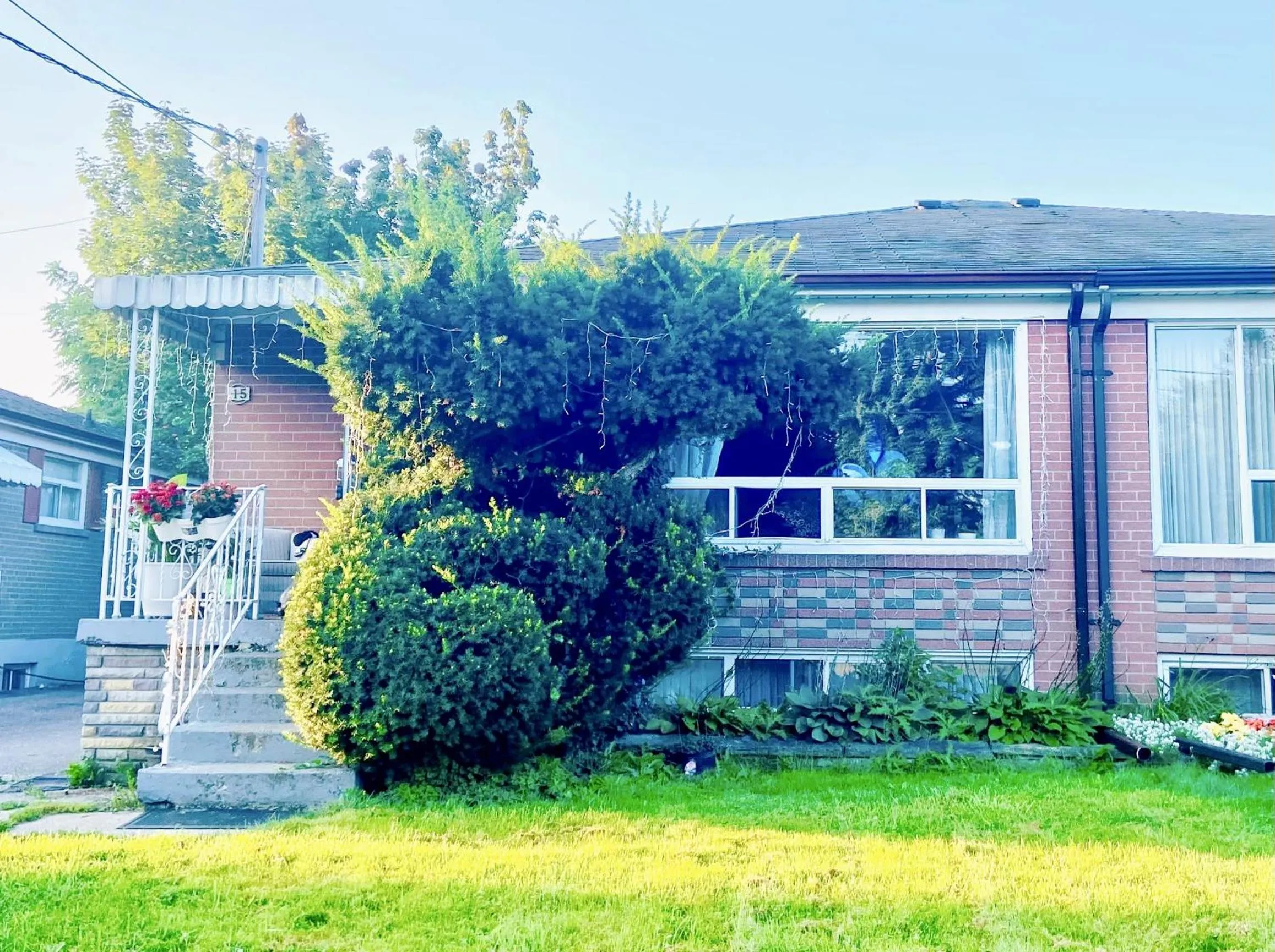 Toronto Bed & Breakfast - Free parking