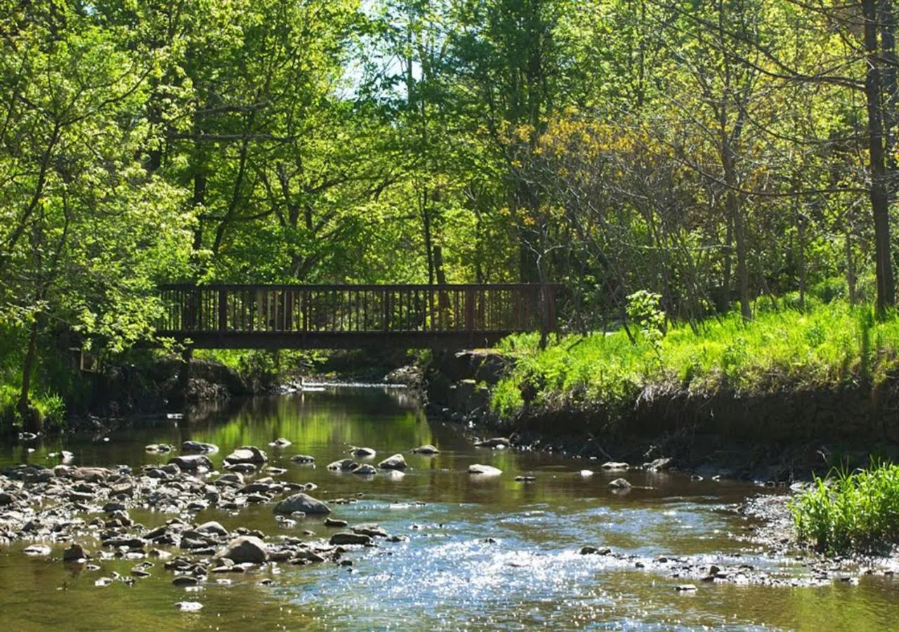 Toronto Bed & Breakfast - Free parking