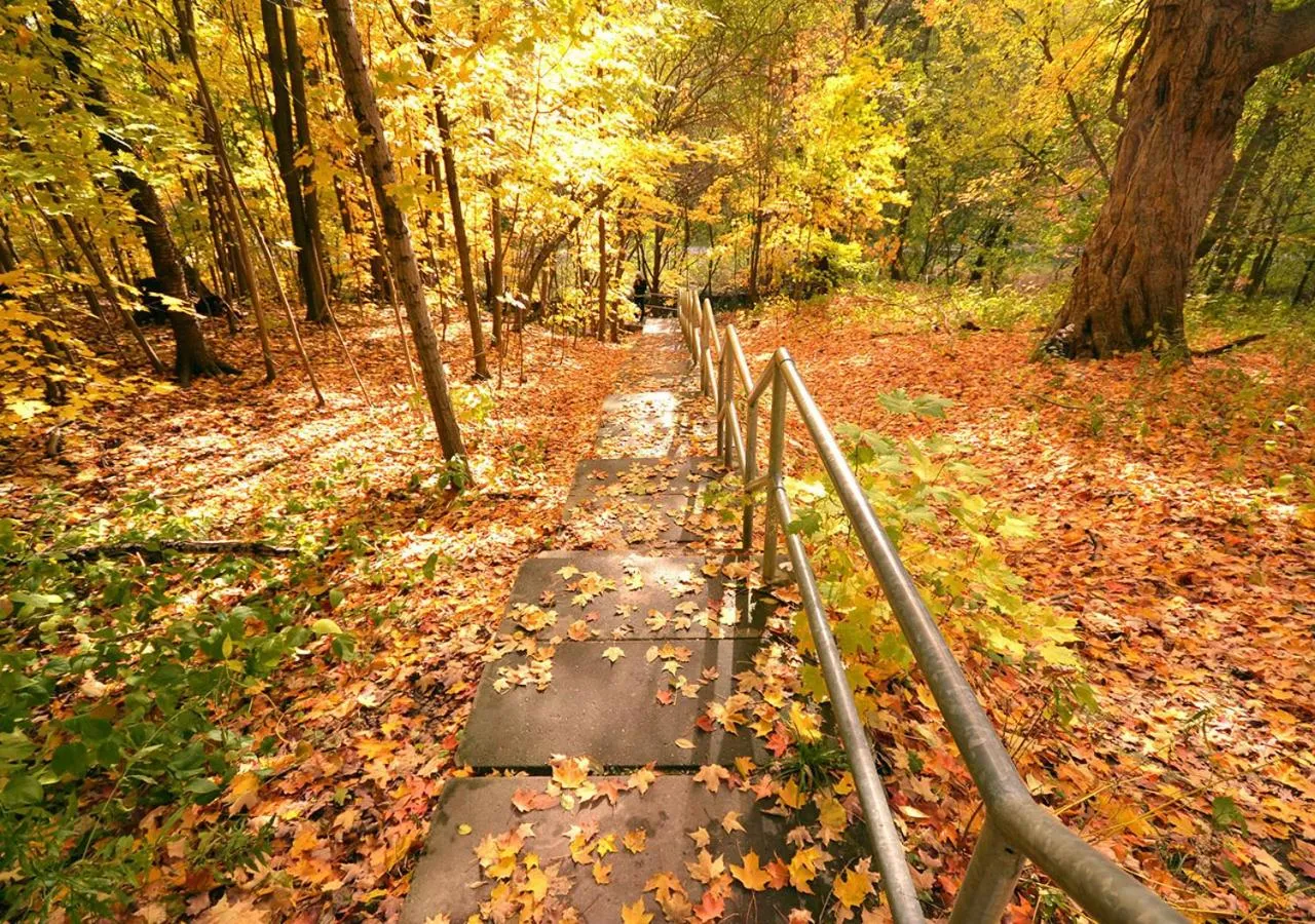 Toronto Bed & Breakfast - Free parking