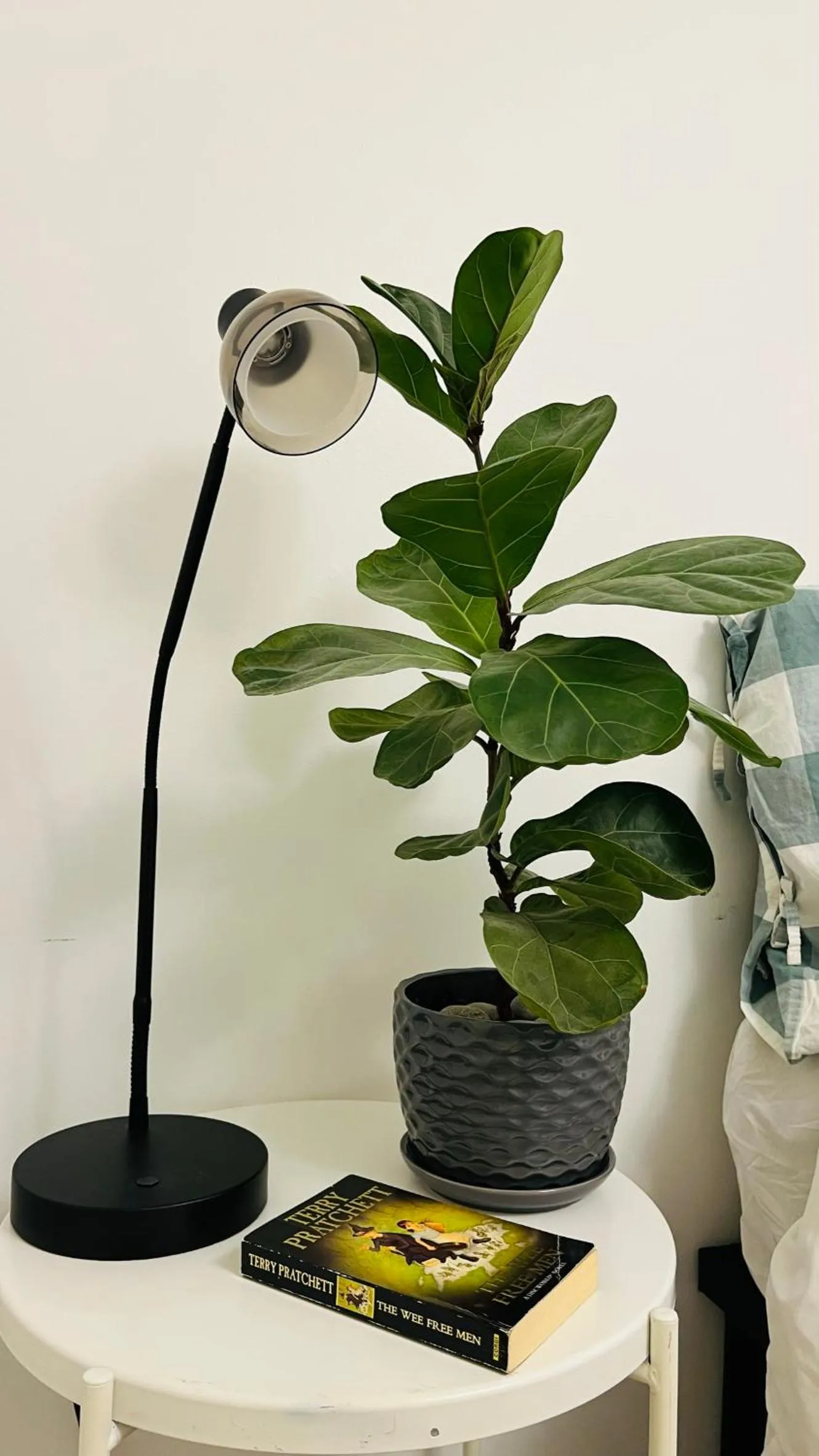 Toronto Bed & Breakfast - Free parking