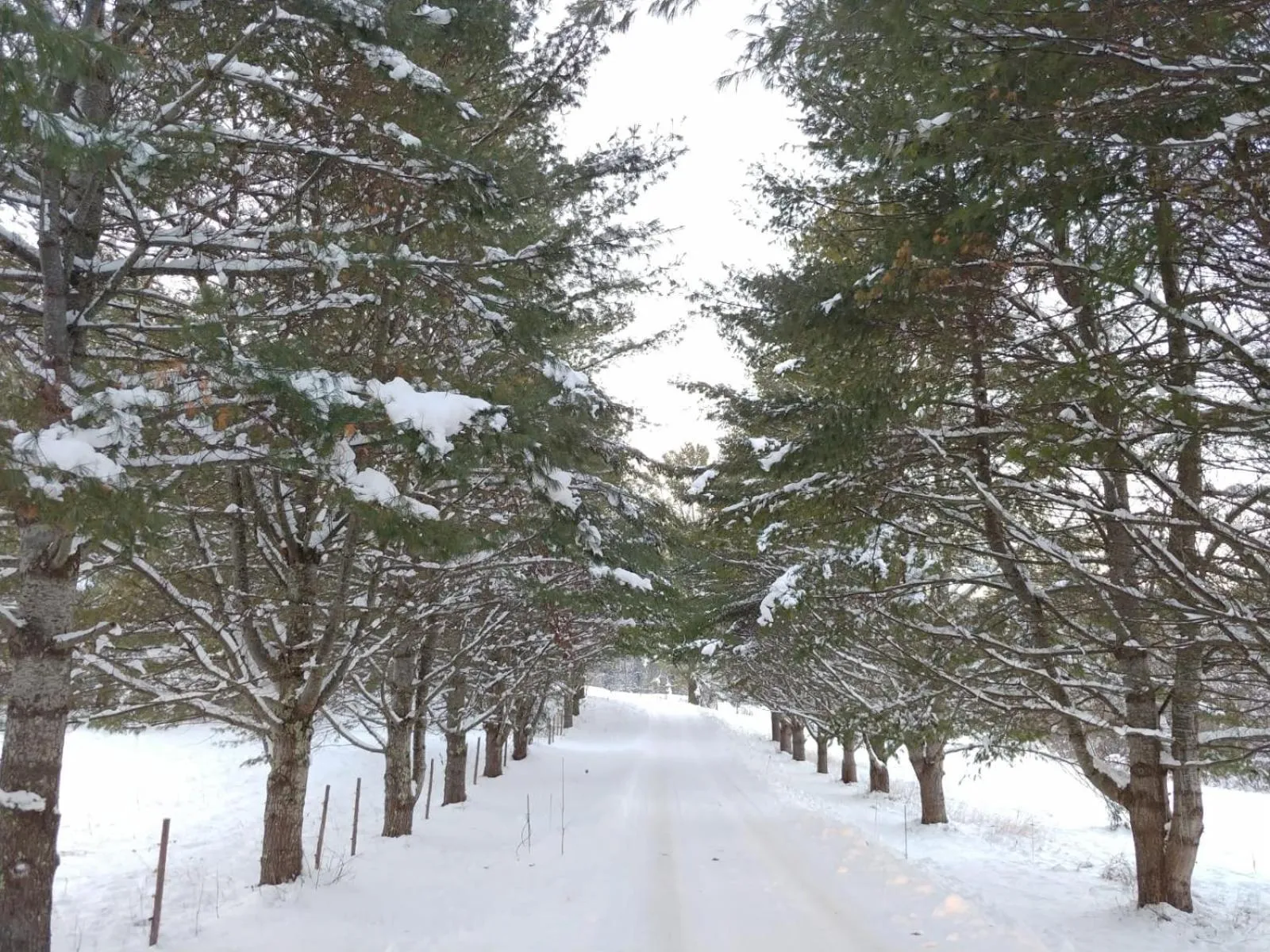 Winter in Spacious country retreat close to town and nature, Sylvana Farm VT