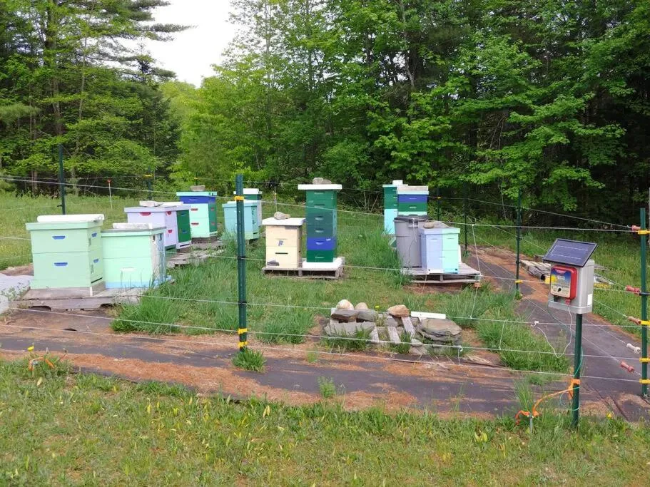 Day in Spacious country retreat close to town and nature, Sylvana Farm VT