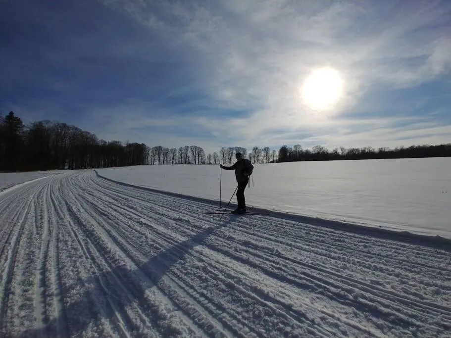 Natural landscape in Spacious country retreat close to town and nature, Sylvana Farm VT