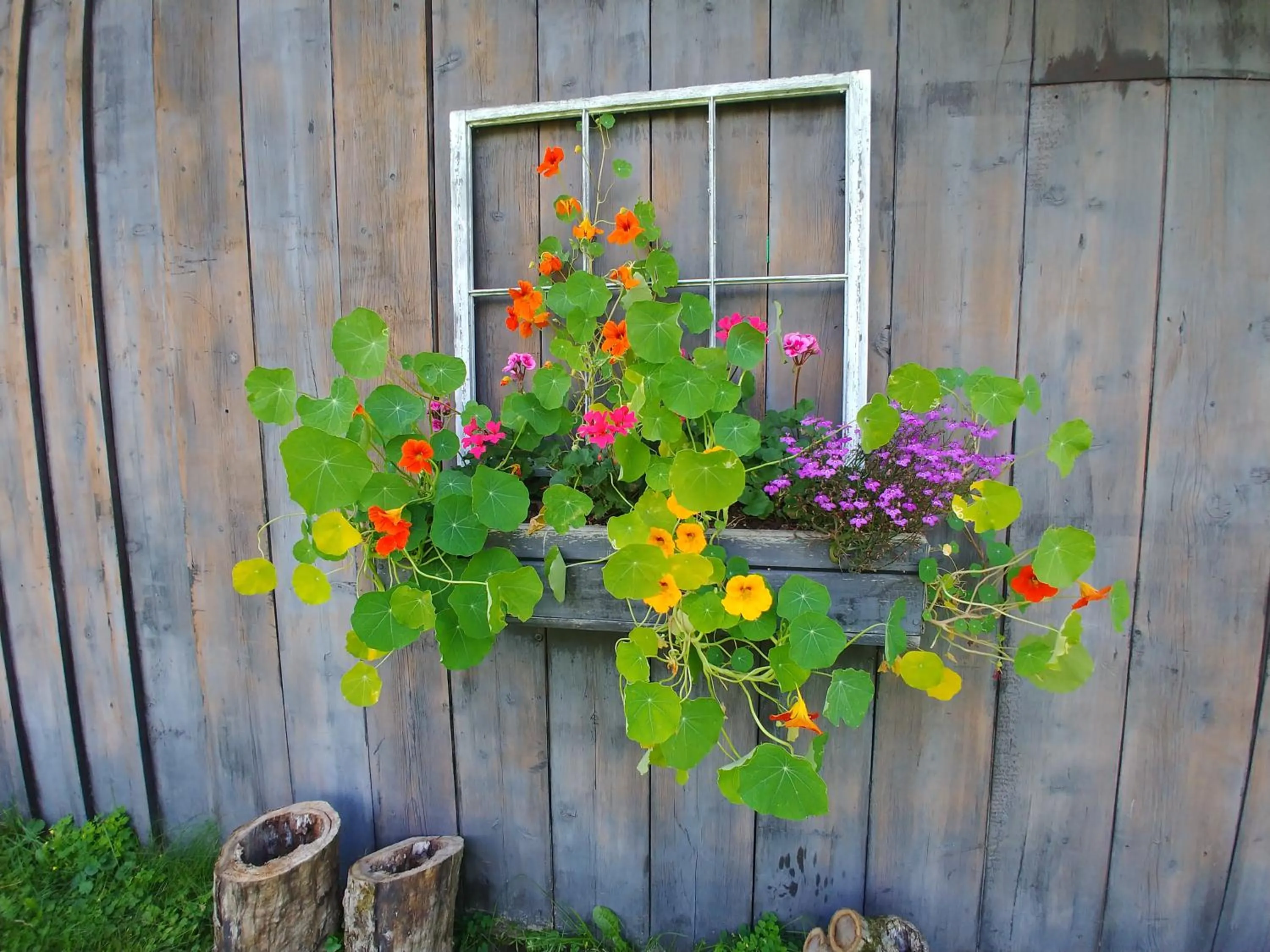 View (from property/room) in Spacious country retreat close to town and nature, Sylvana Farm VT