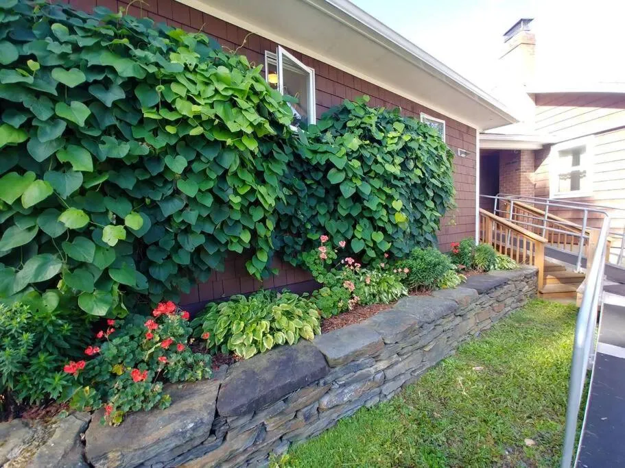 Property building in Spacious country retreat close to town and nature, Sylvana Farm VT