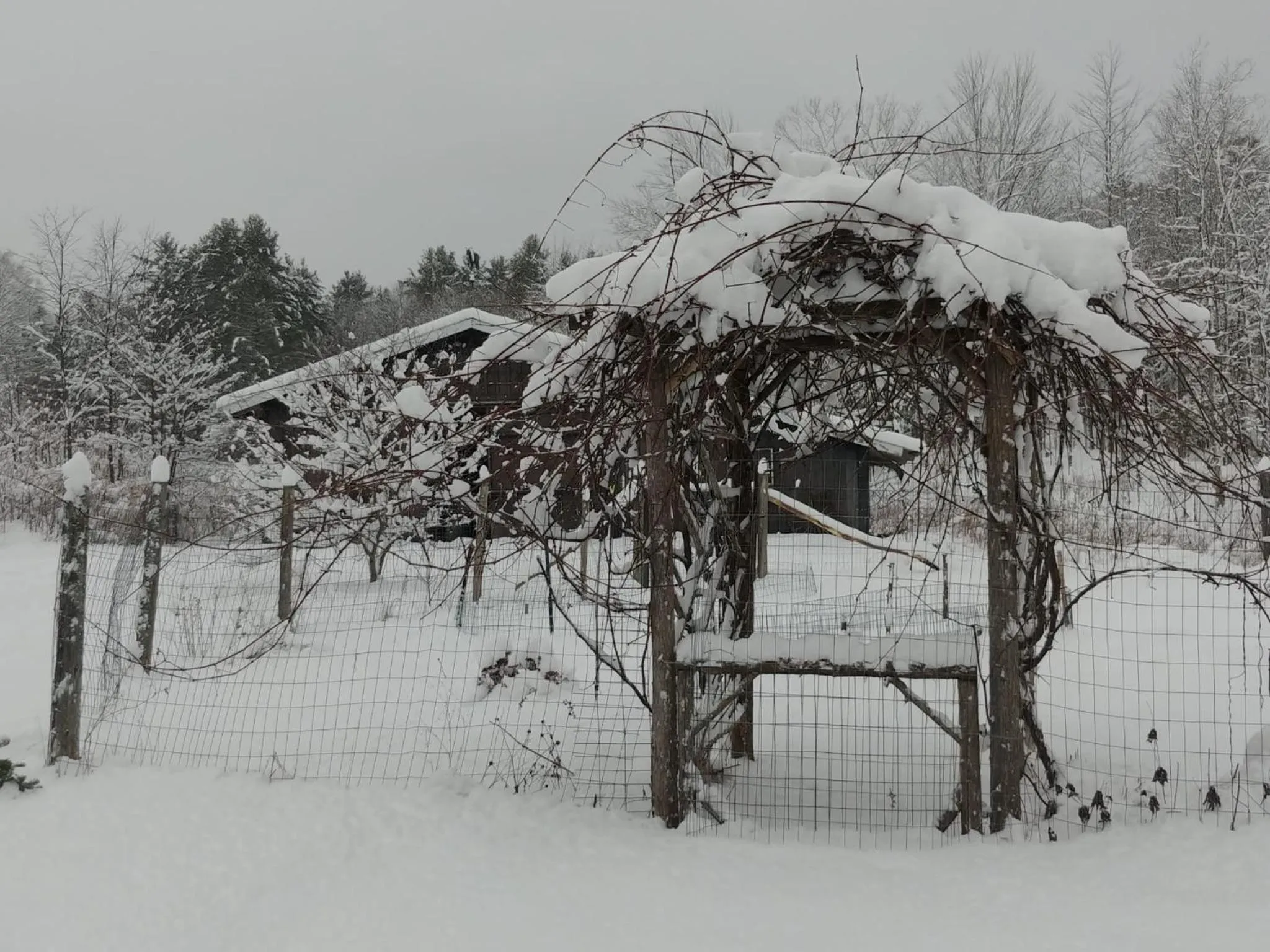 Natural landscape in Spacious country retreat close to town and nature, Sylvana Farm VT