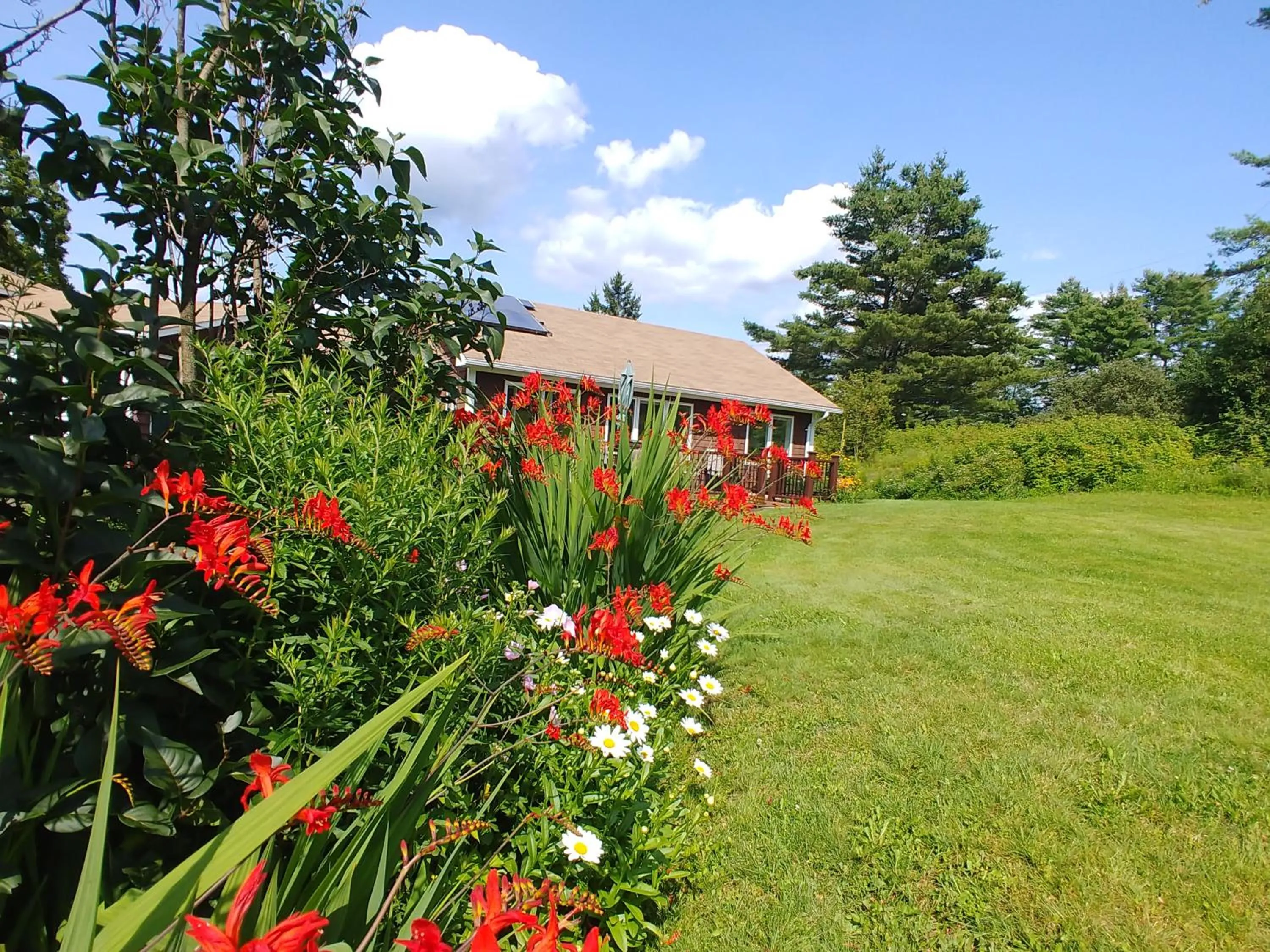 View (from property/room) in Spacious country retreat close to town and nature, Sylvana Farm VT