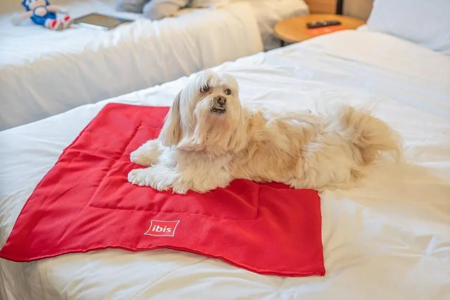 Bed in ibis Guarapuava