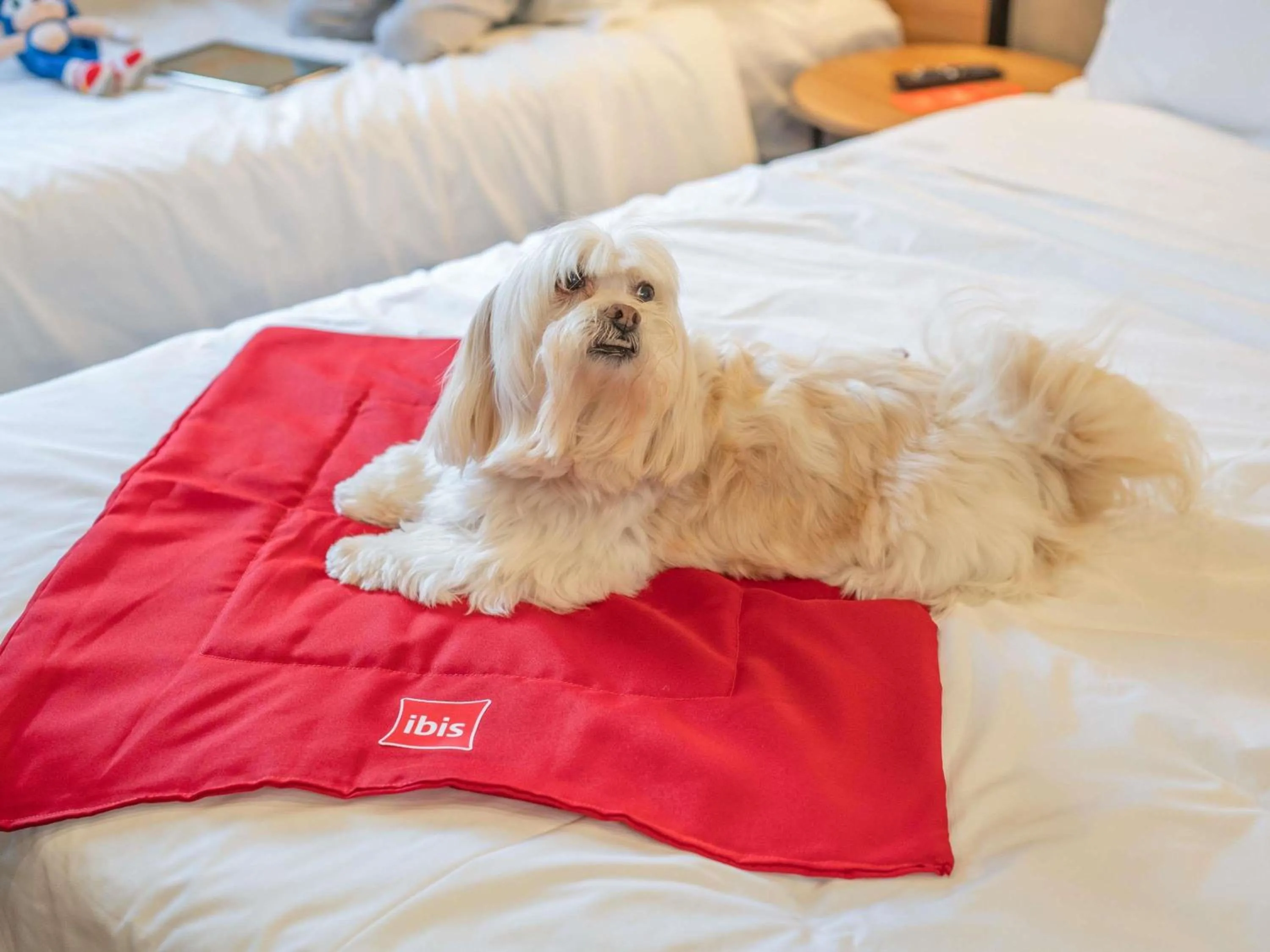 Other, Bed in ibis Guarapuava