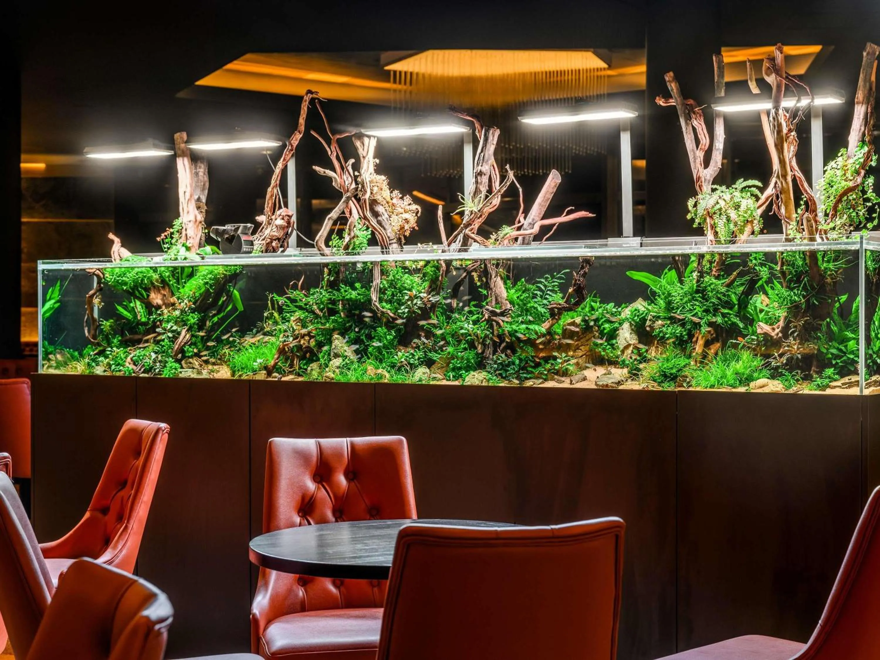 Restaurant/places to eat in Minaro Hotel Tokaj - MGallery Collection