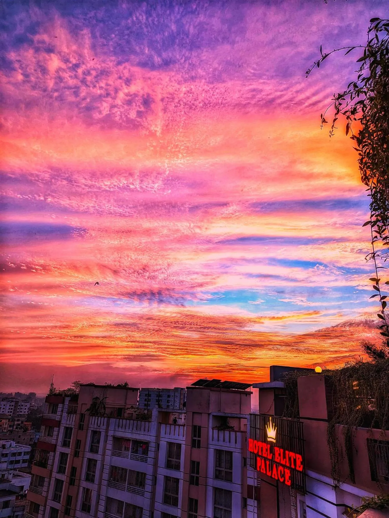 Balcony/Terrace in Hotel Elite Palace
