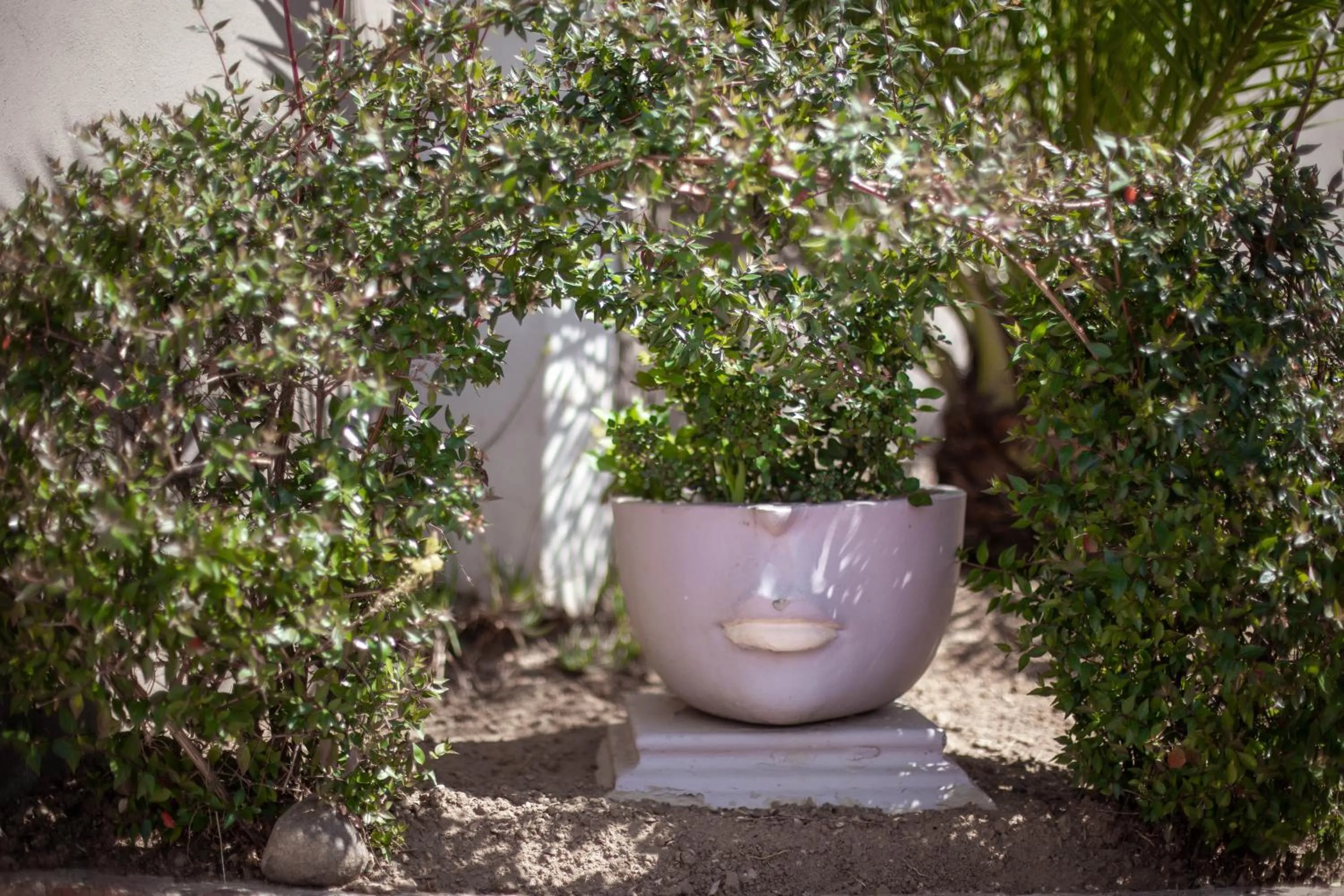 Garden view in Three Stones Executive Apartments
