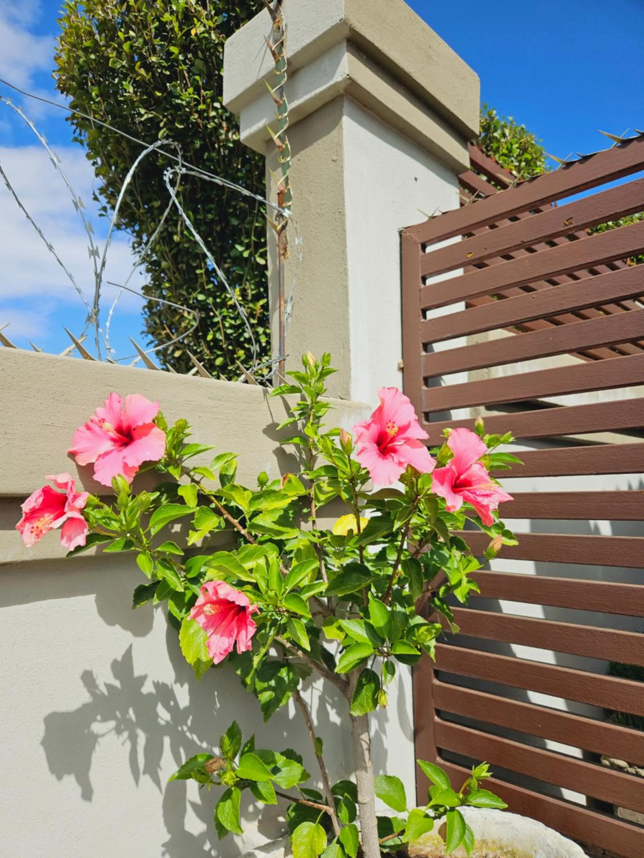 Garden in Three Stones Executive Apartments