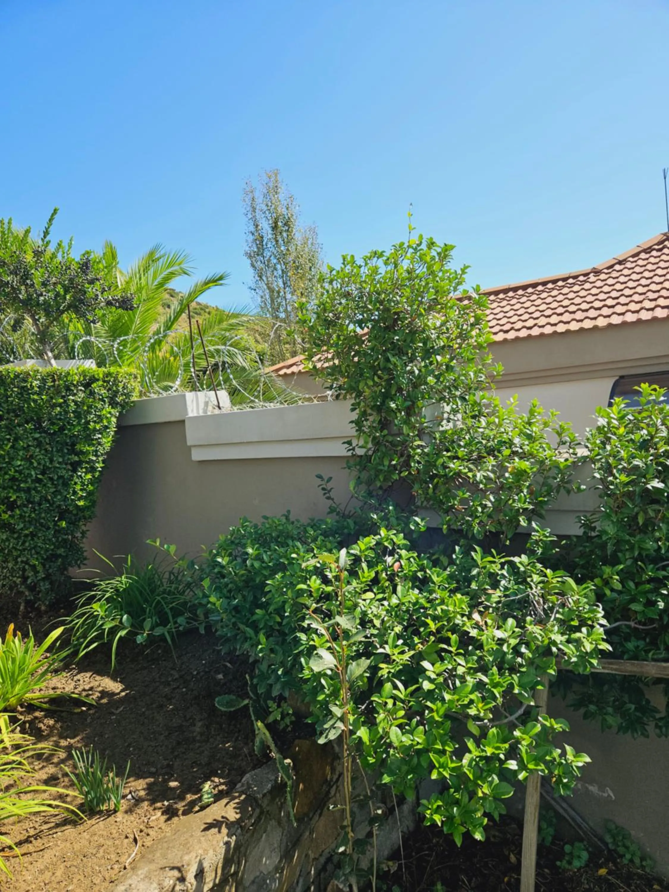 Garden in Three Stones Executive Apartments