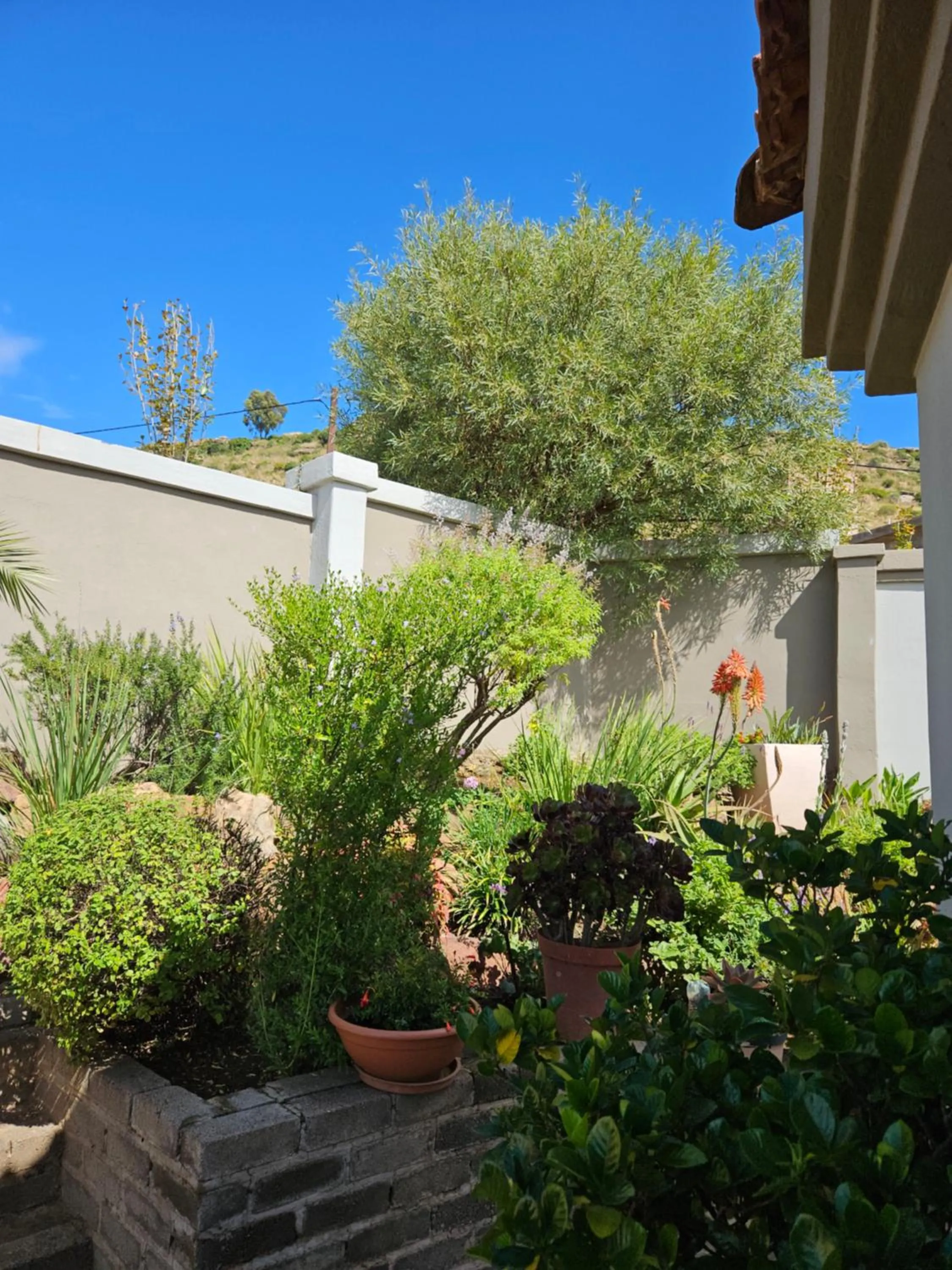 Garden in Three Stones Executive Apartments