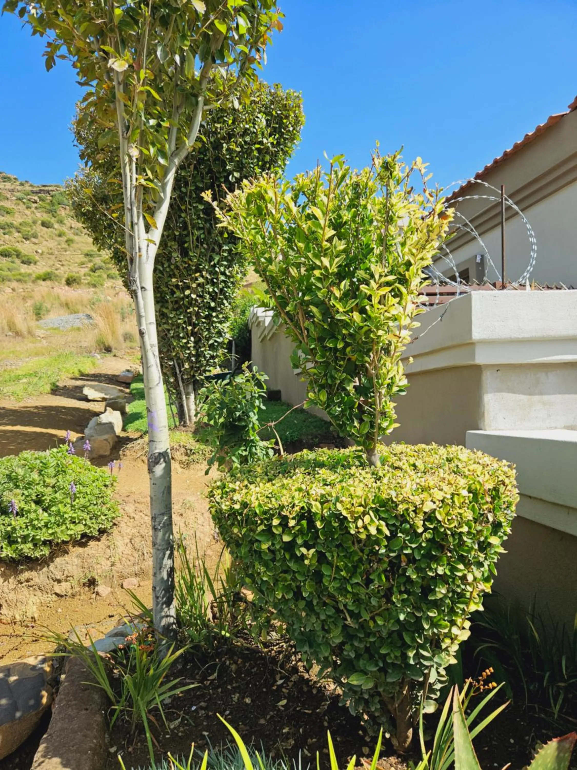 Garden in Three Stones Executive Apartments