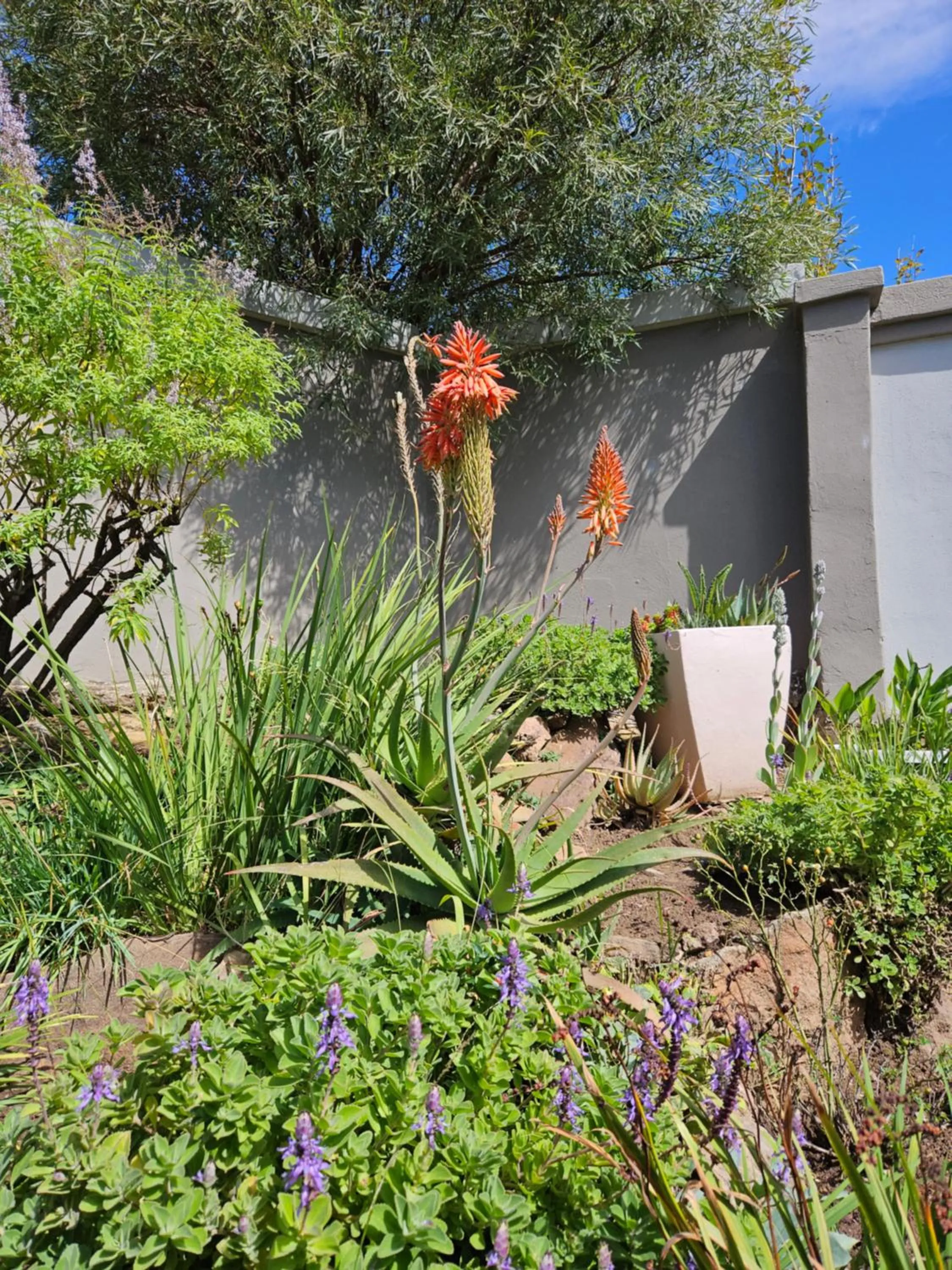 Garden in Three Stones Executive Apartments