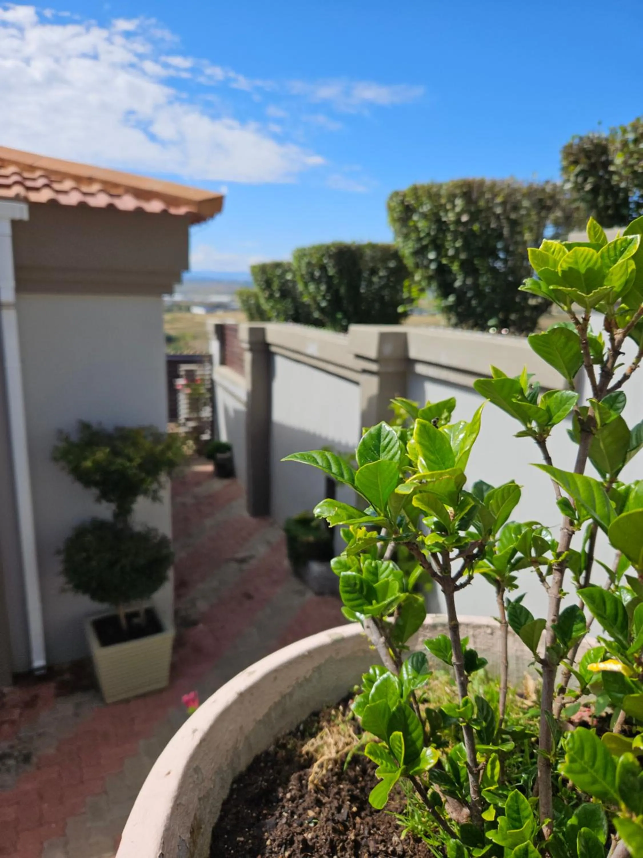 Garden in Three Stones Executive Apartments