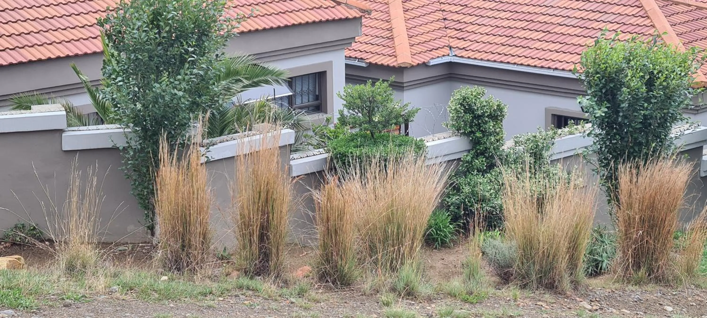 Property building in Three Stones Executive Apartments