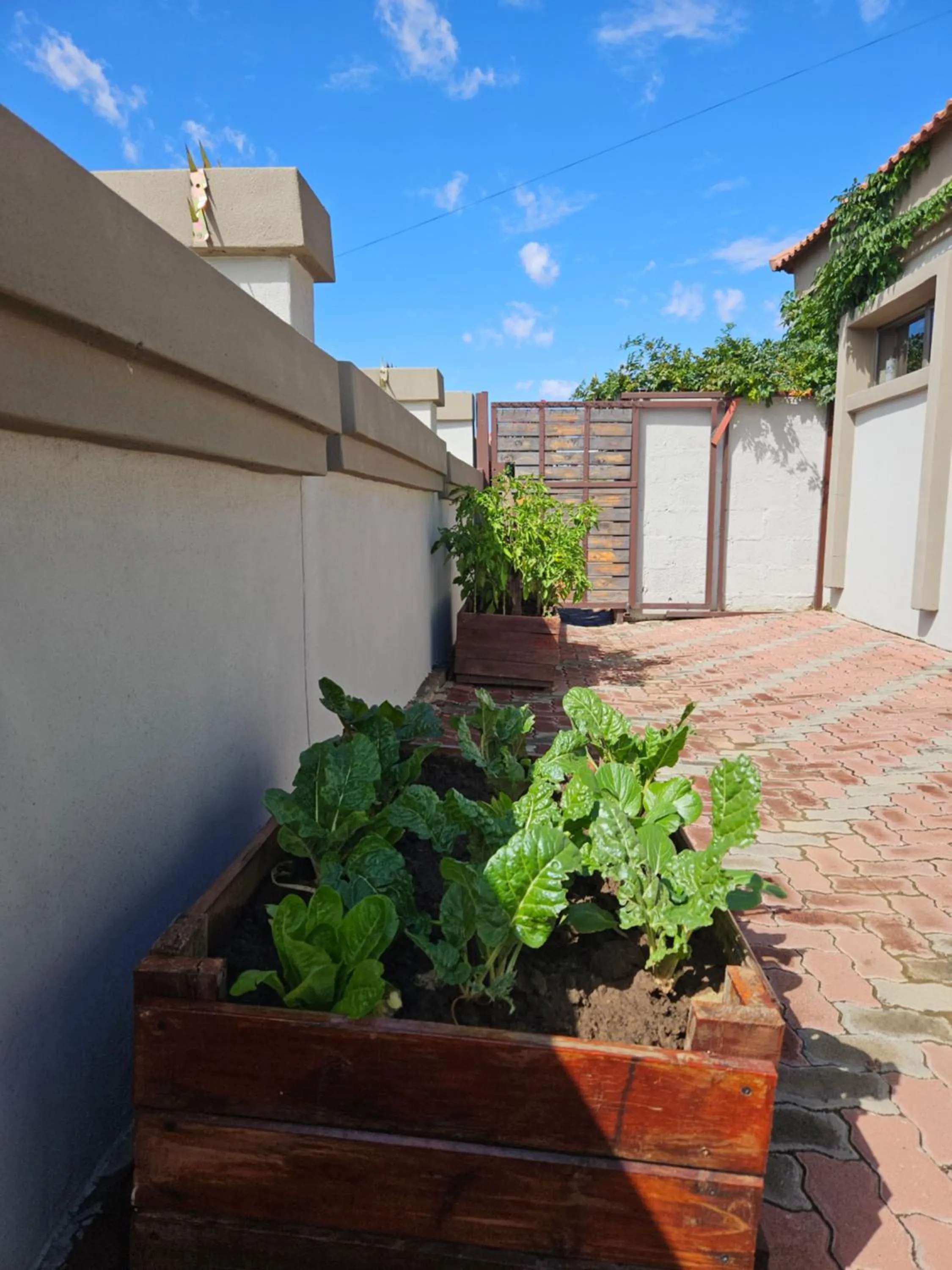 Garden view in Three Stones Executive Apartments