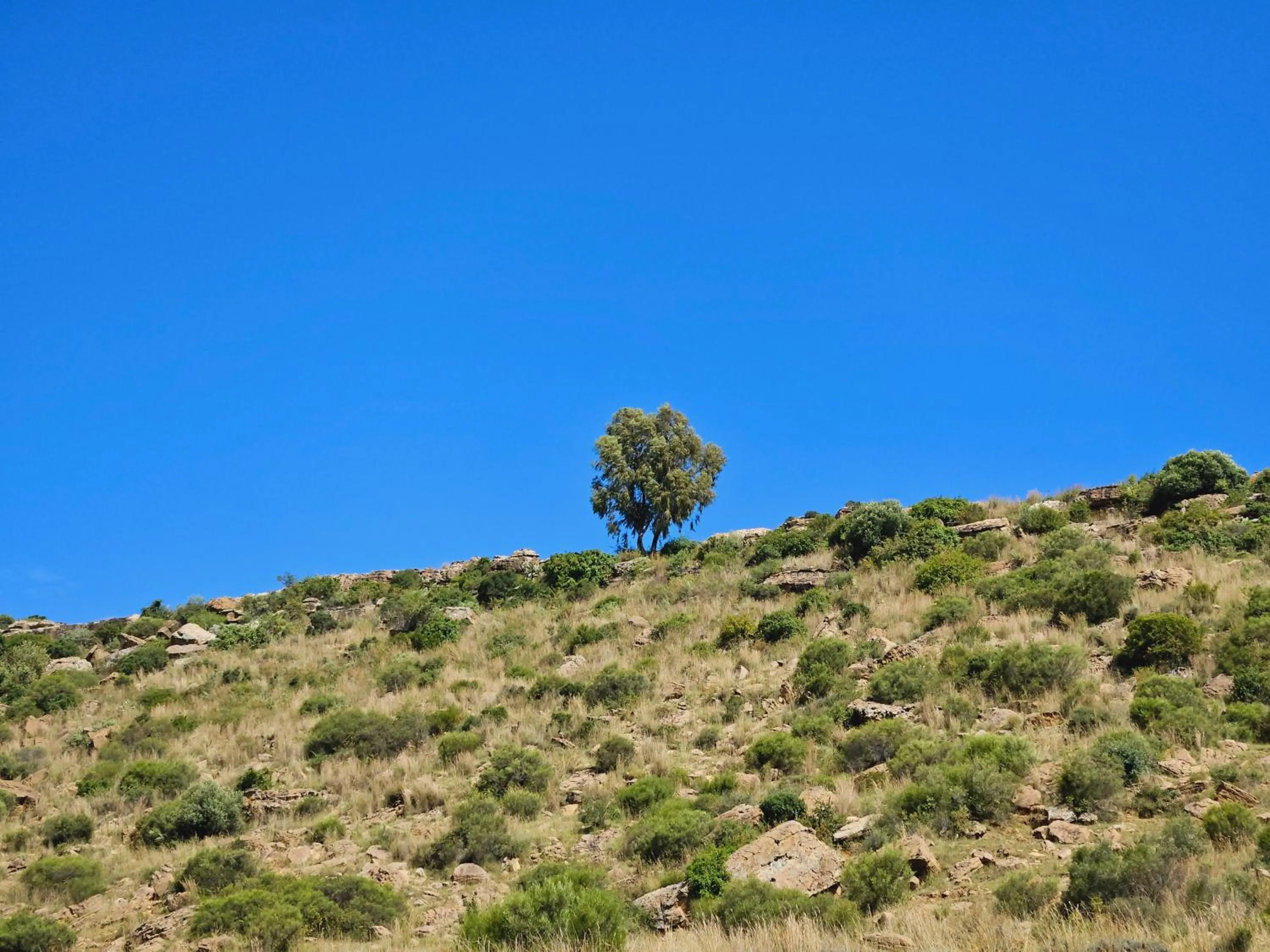 Natural landscape in Three Stones Executive Apartments