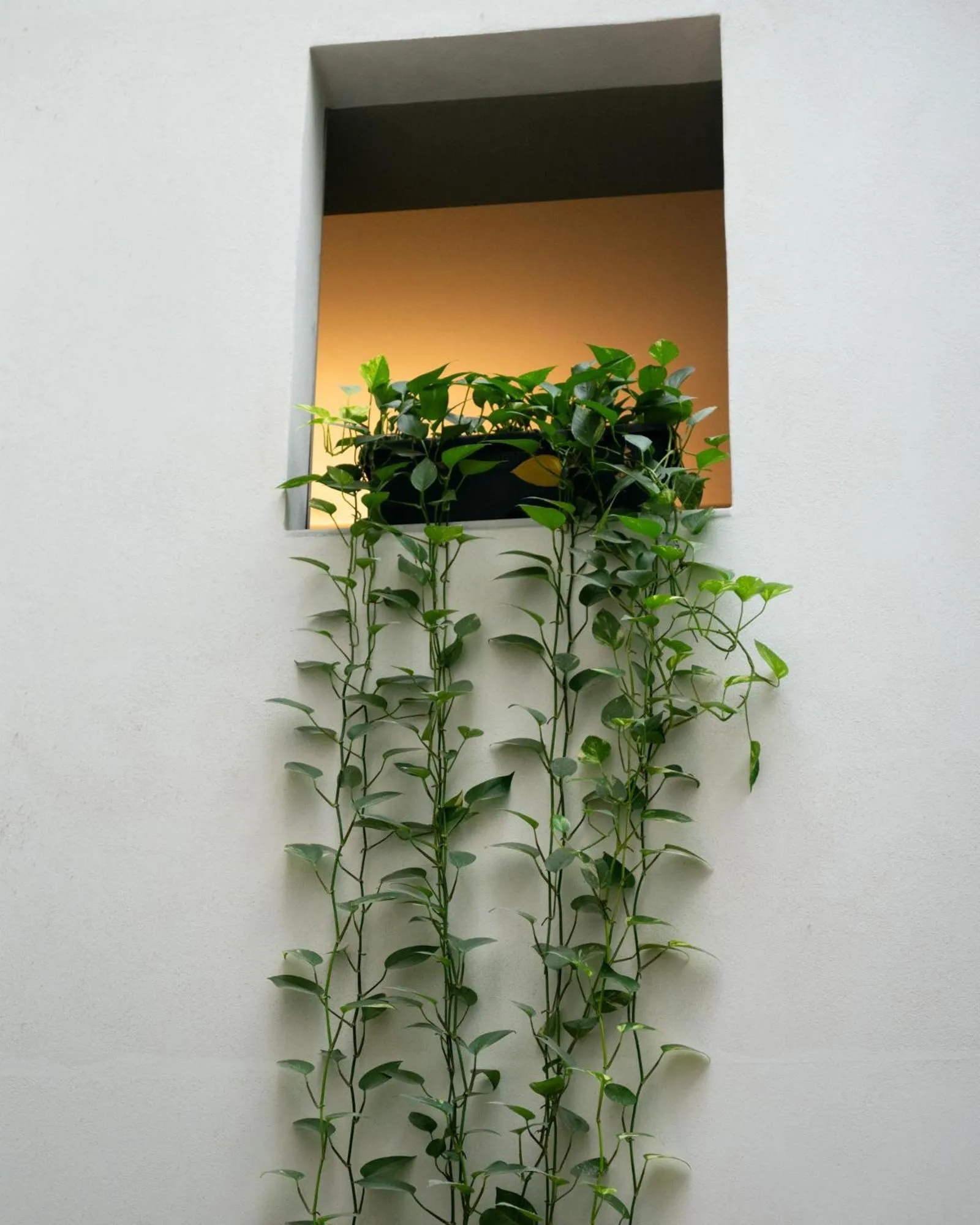 Property building in Hotel Ramblas Internacional