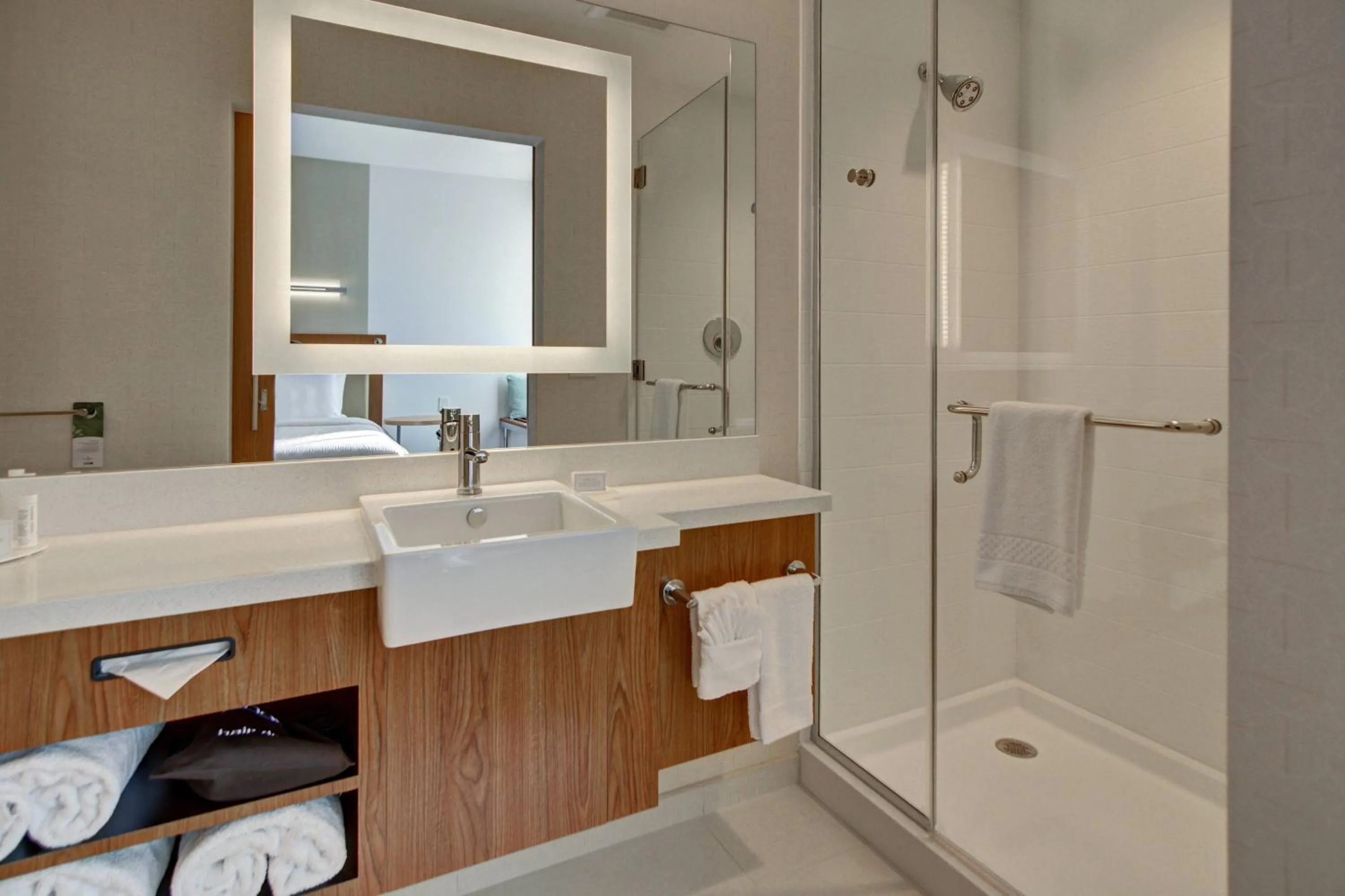 Bathroom in SpringHill Suites by Marriott Dallas Plano/Frisco