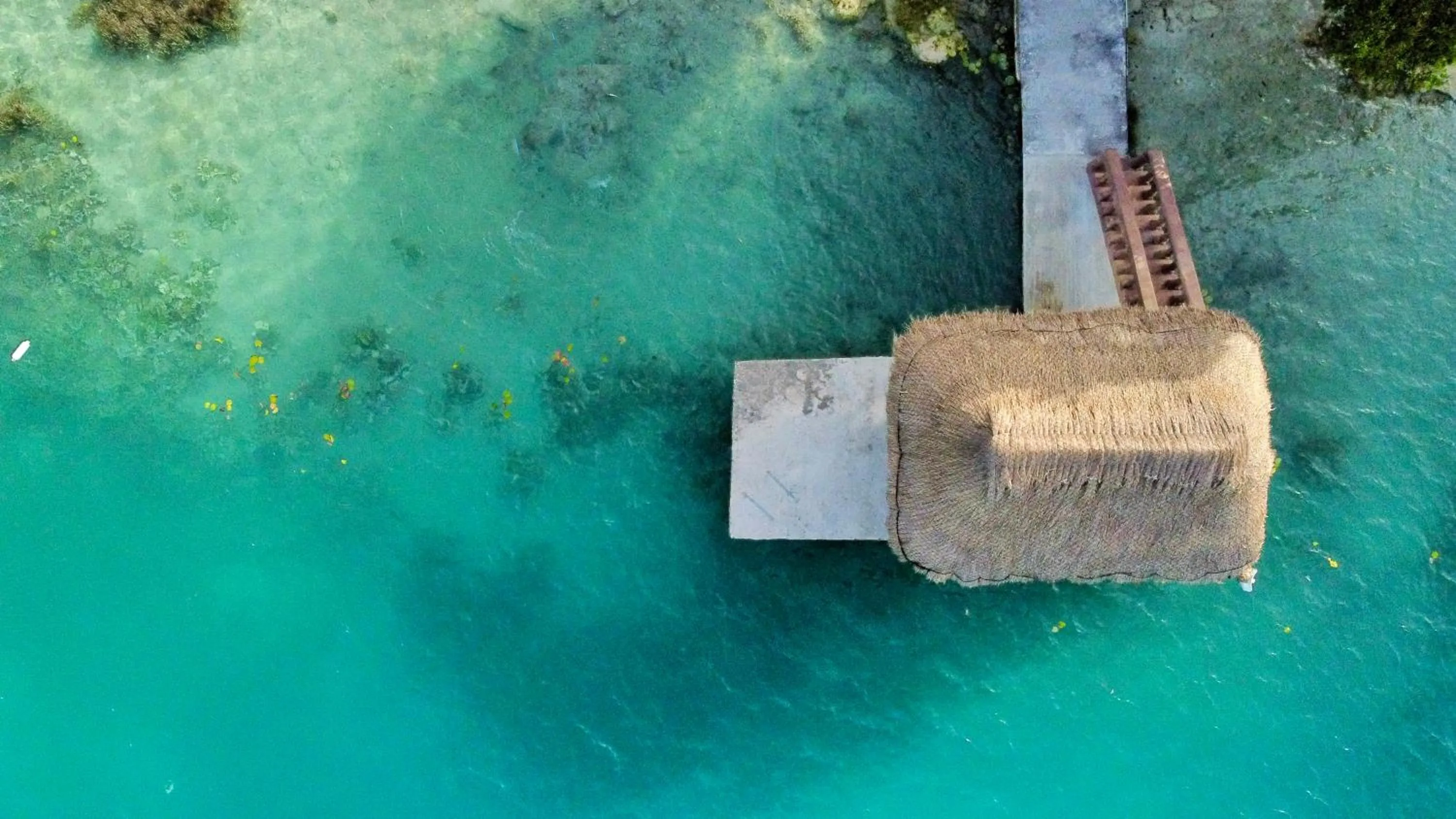 Natural landscape in Pepos Xul-Ha