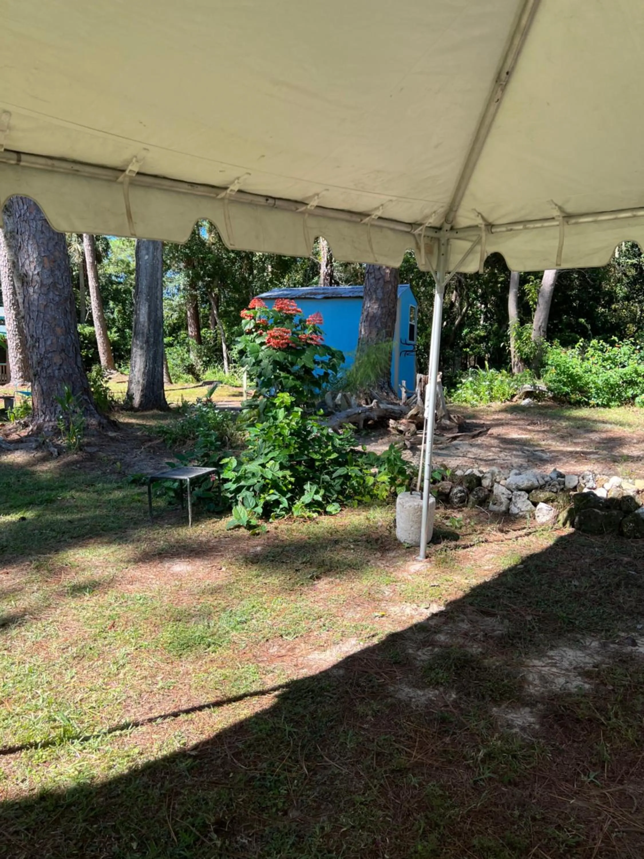 Nature Coast Inn & Cottages