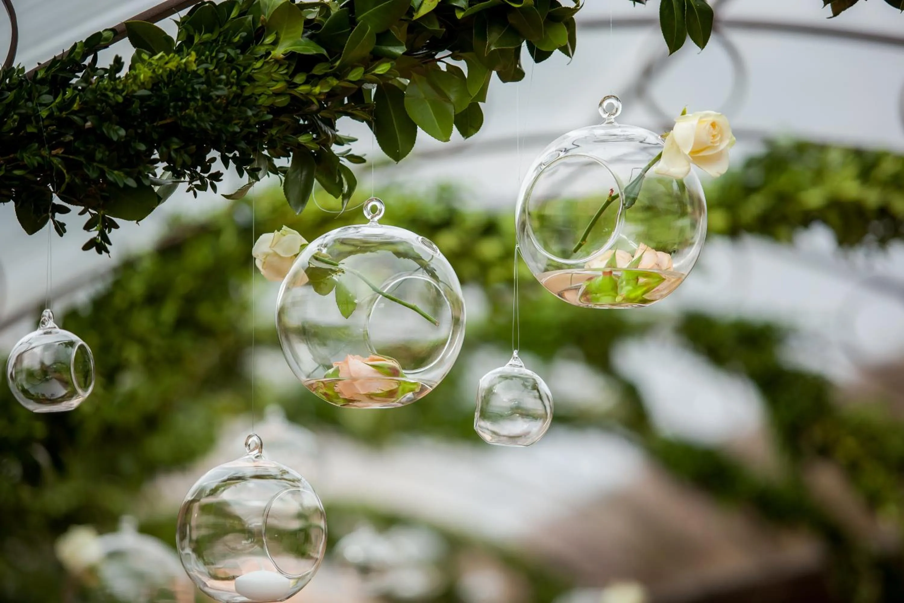 Banquet/Function facilities in Cigarral de Caravantes